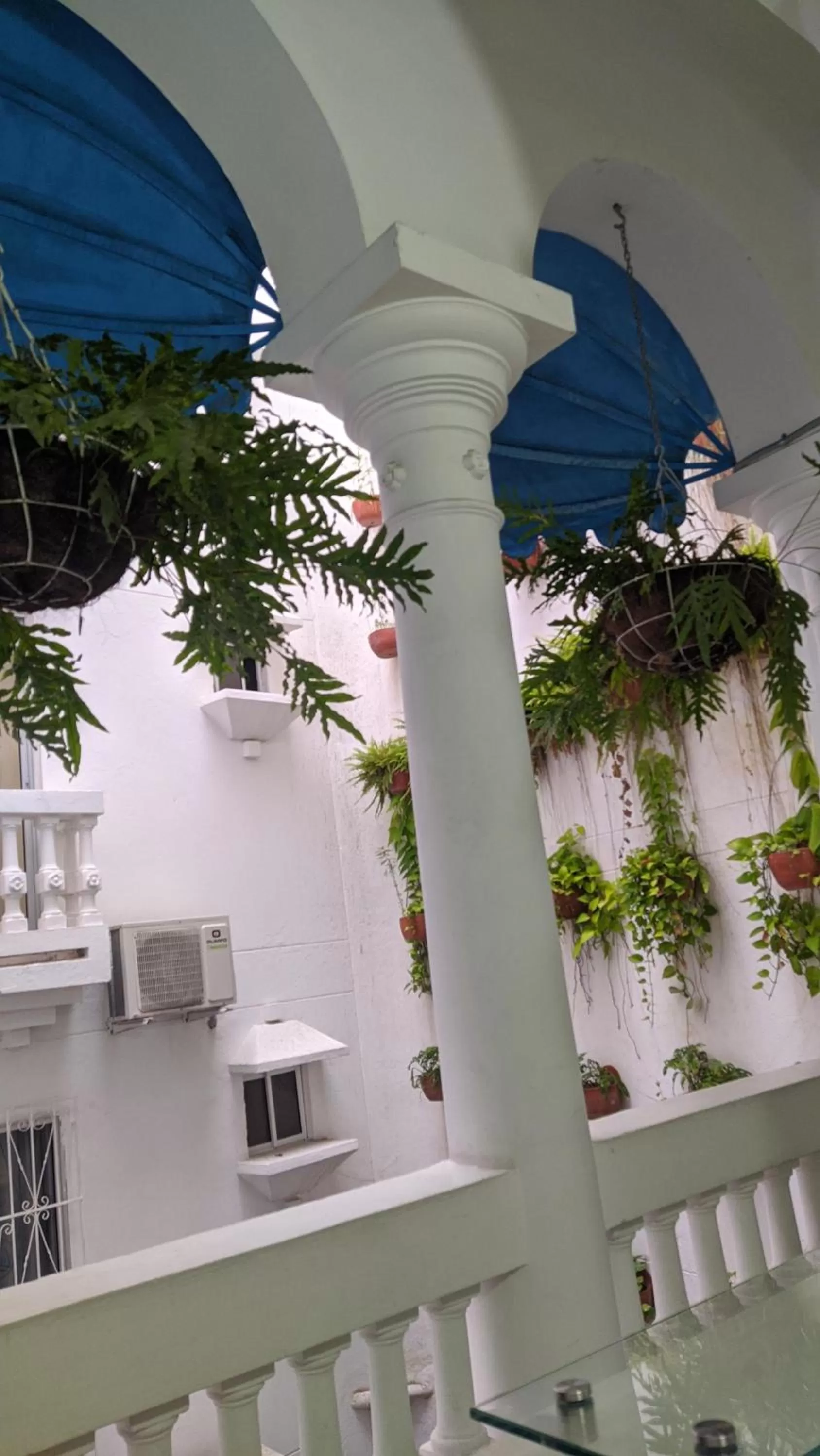 Garden view in Luka Cartagena Hotel