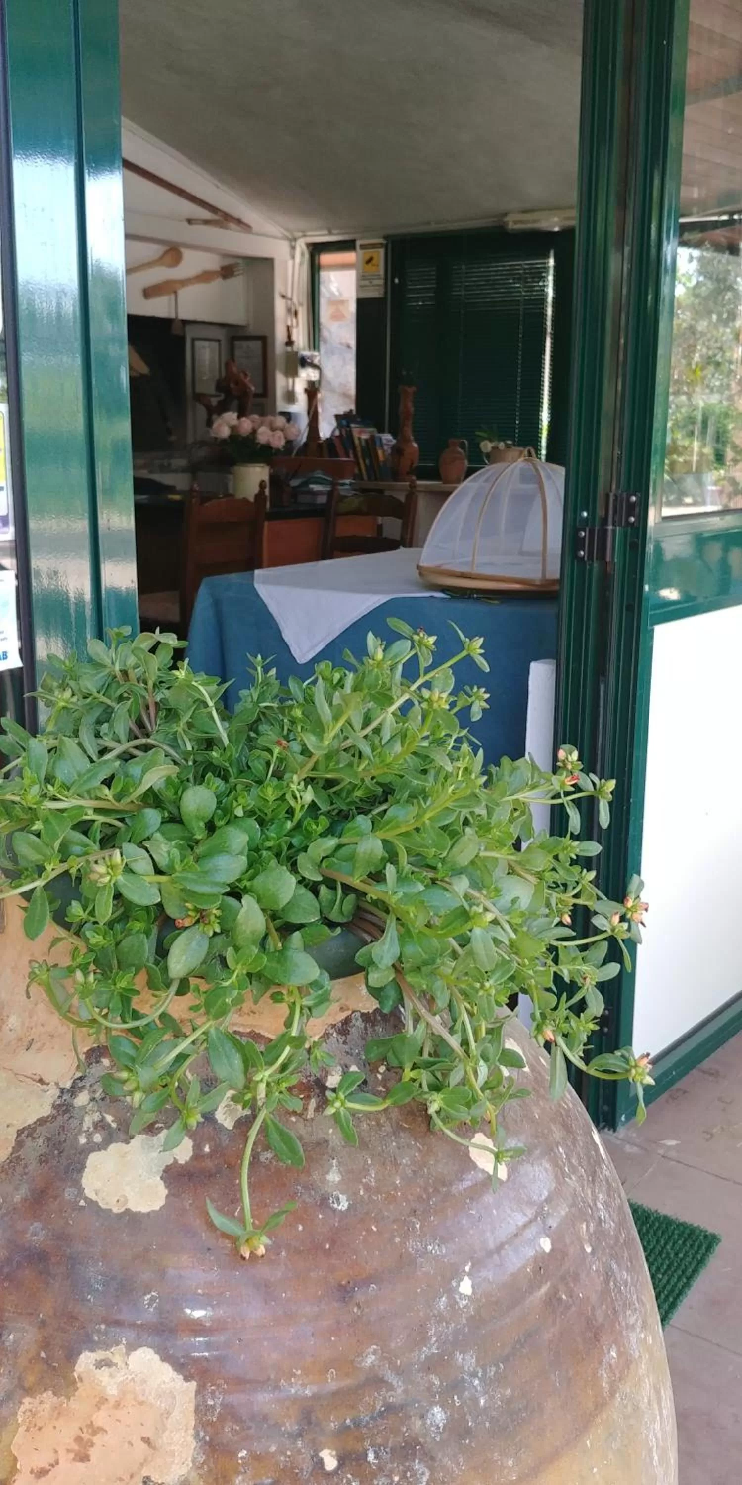 Facade/entrance in La Piana degli Ulivi