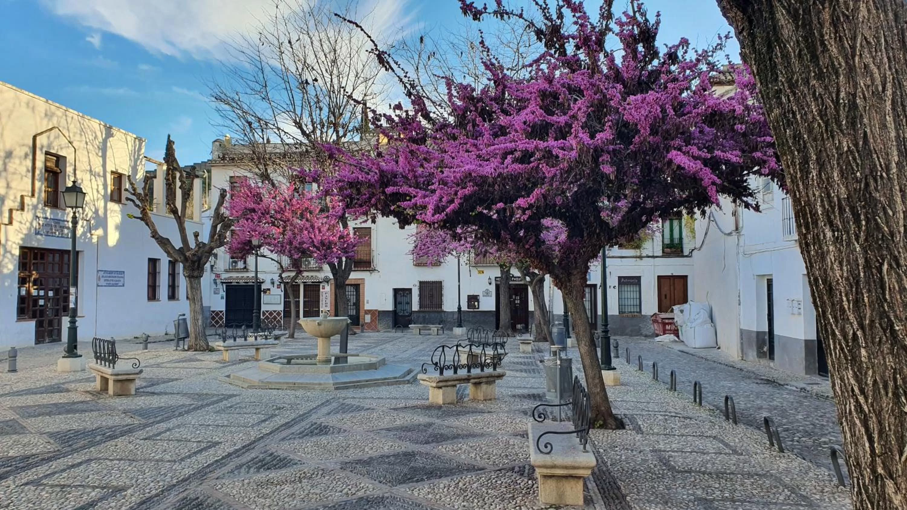 Spring in CASA MORENA MiA APARTAMENTOS