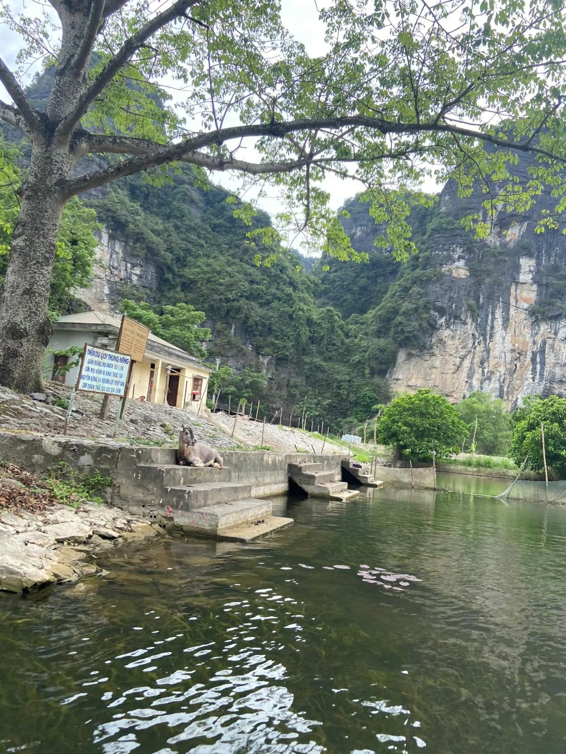 Tam Coc Mountain View Homestay