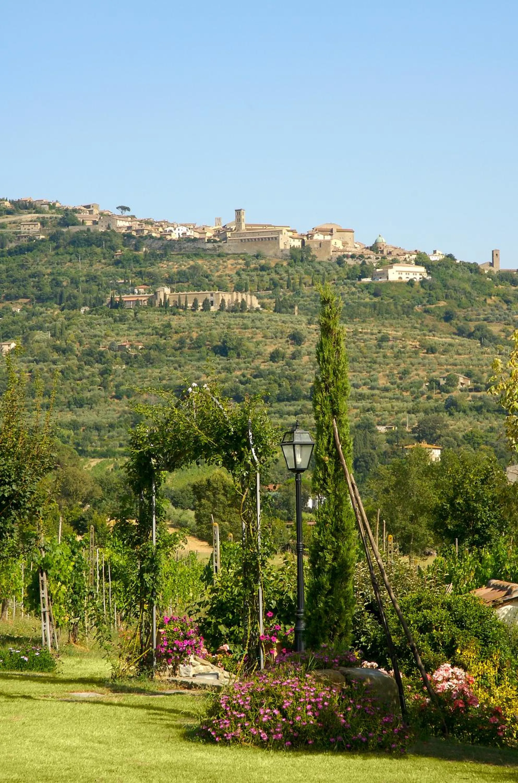 Garden in Relais Villa Baldelli