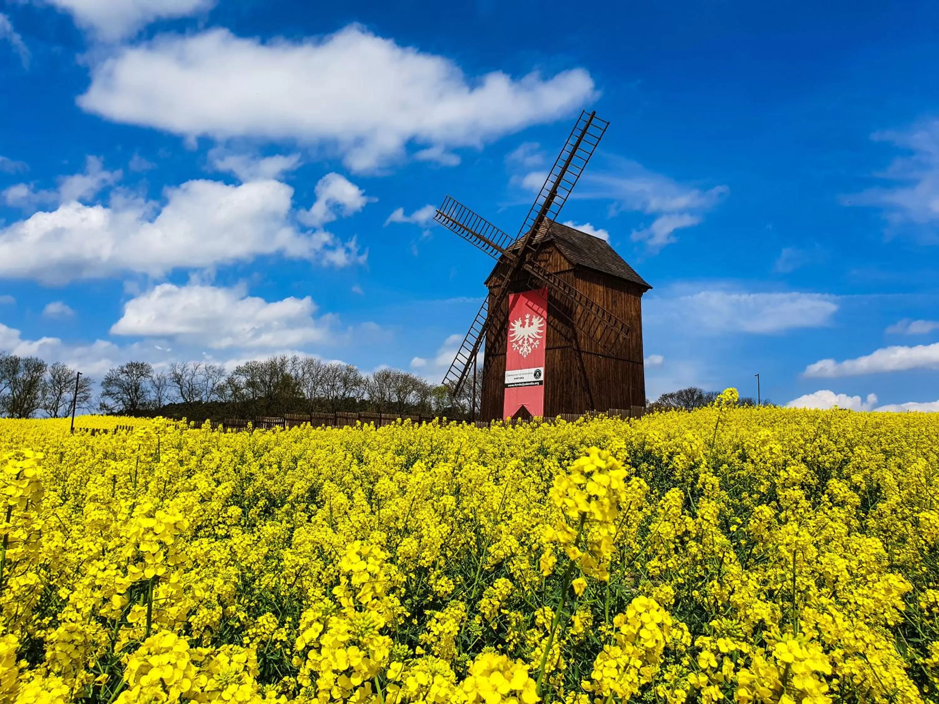 Nearby landmark in Olandia