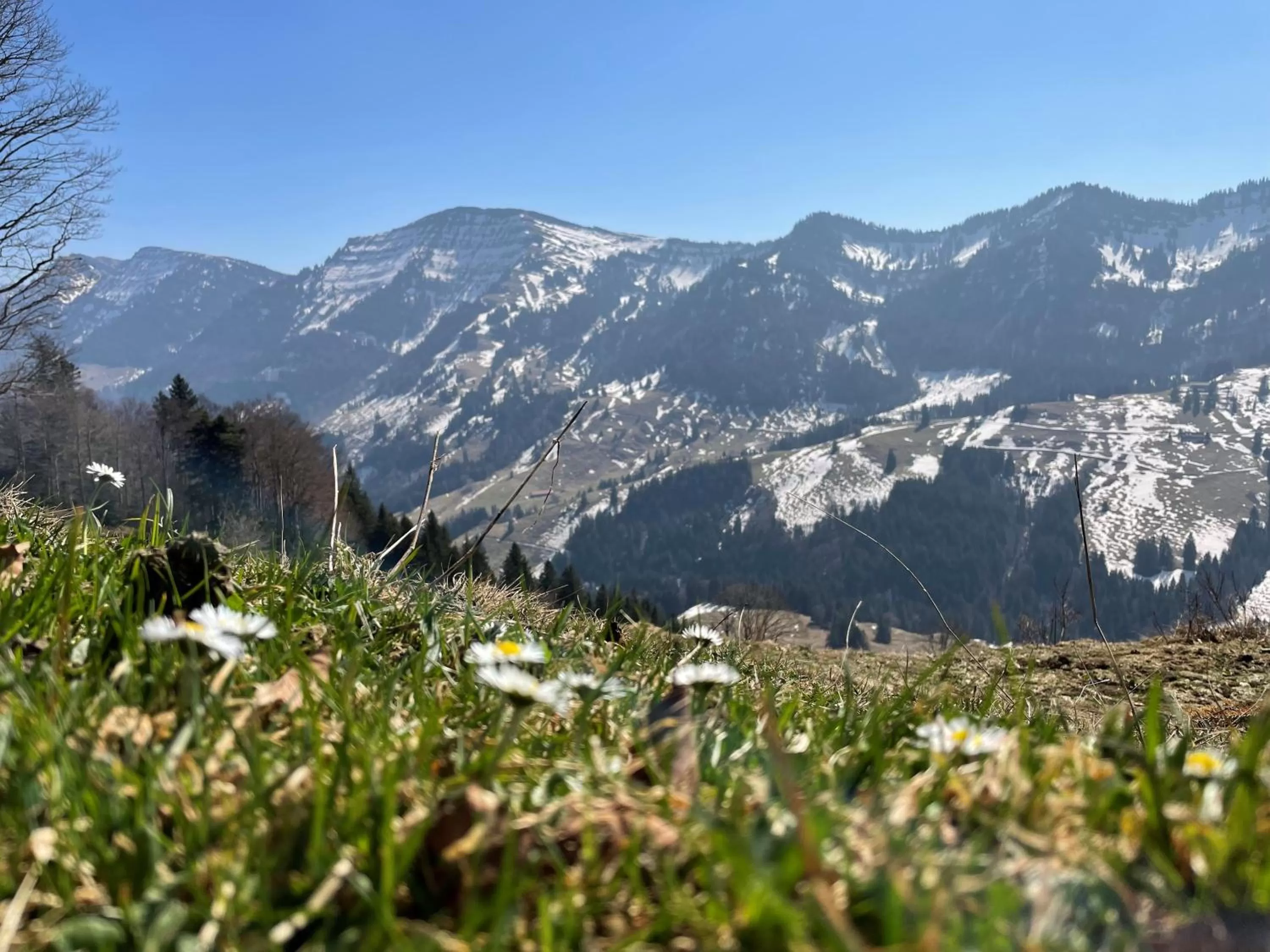Staff in Parkhotel Oberstaufen