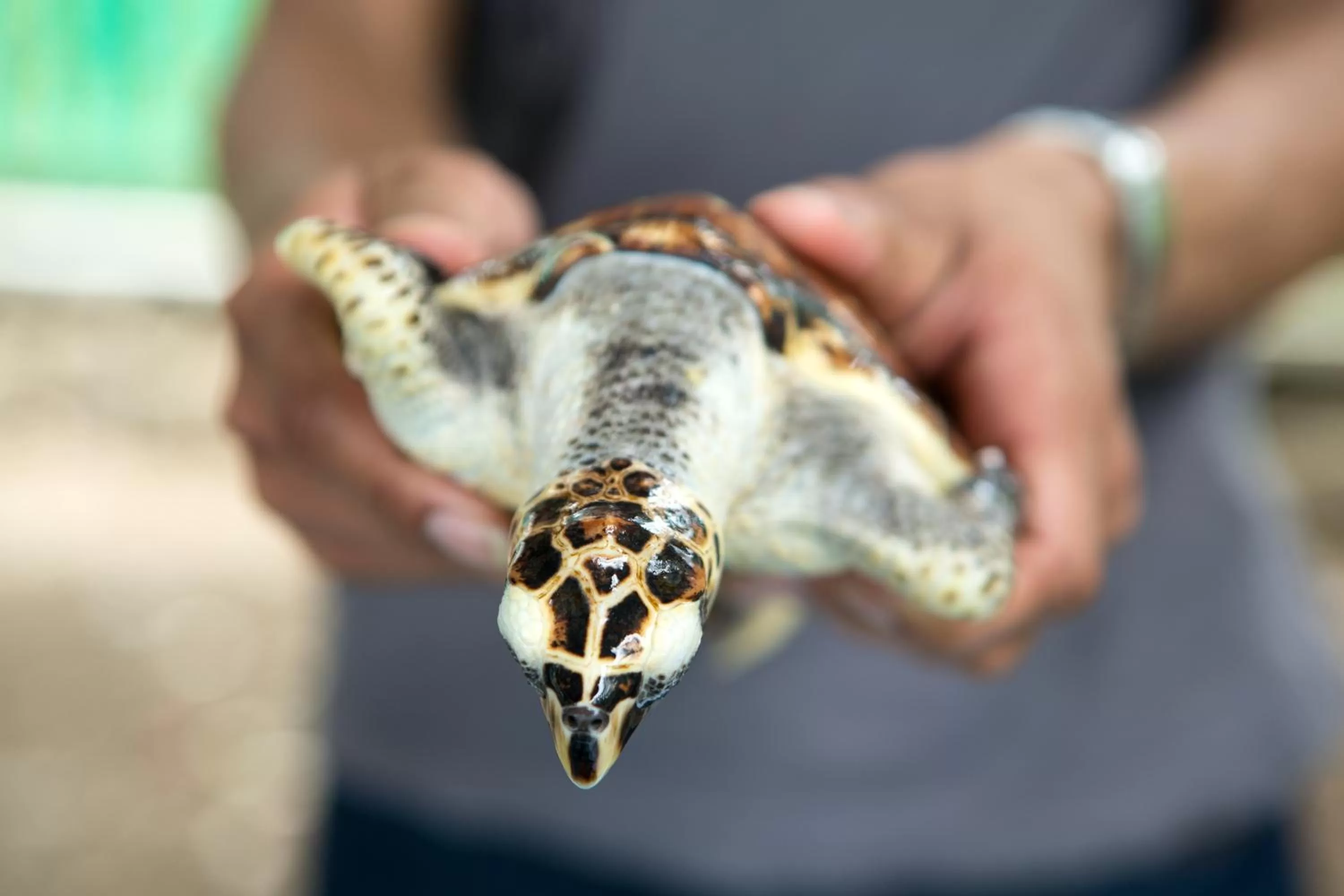 Other in Ketapang Indah Hotel