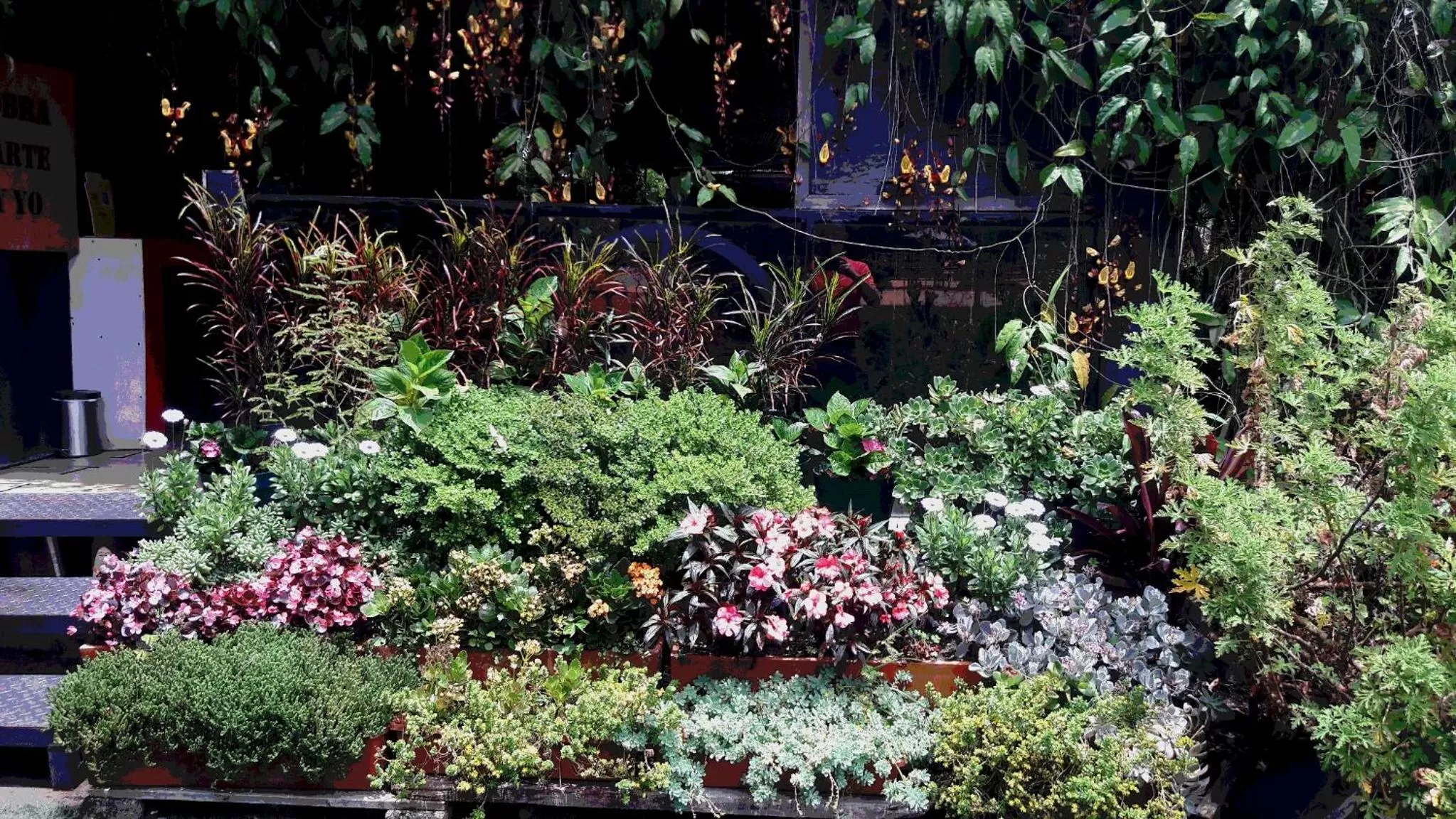 Garden in ALTO LODGING Centro de Entrenamiento Deportivo y Negocios, a 2 pasos del Aeropuerto JMC, Transporte Incluido