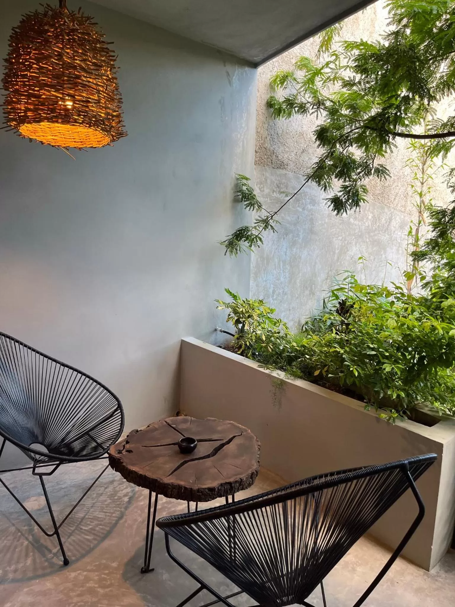 Balcony/Terrace in Little Gem Hotel Tulum La Veleta