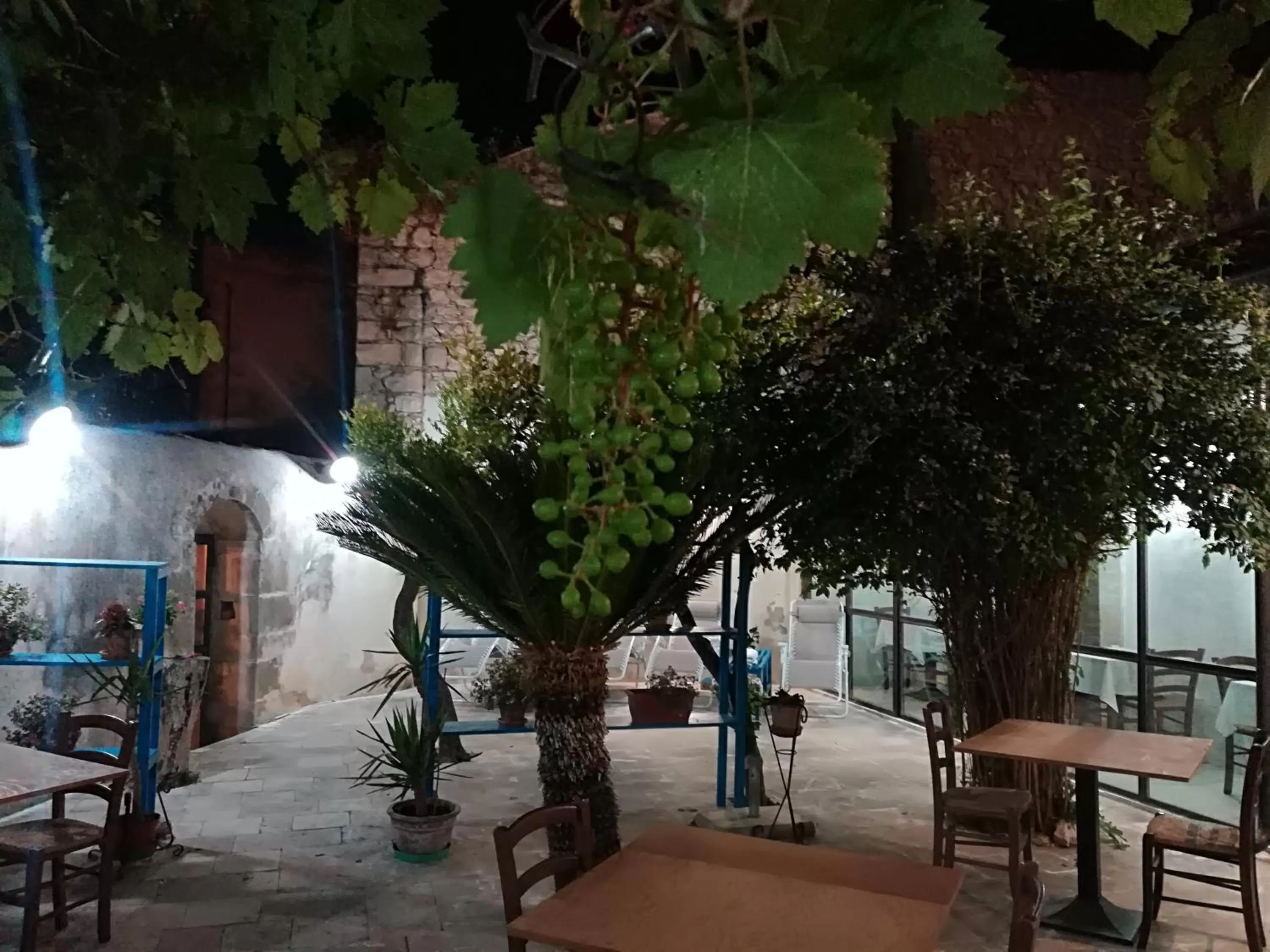 Garden in Residenza Donnafugata B&B