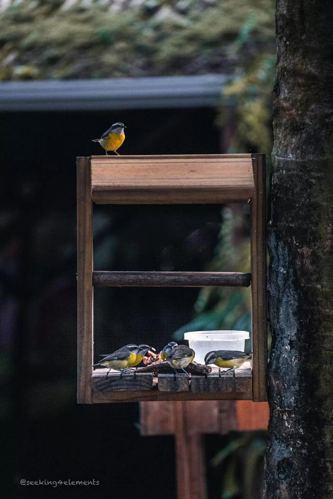 Garden in Pousada e Hostel Marthi