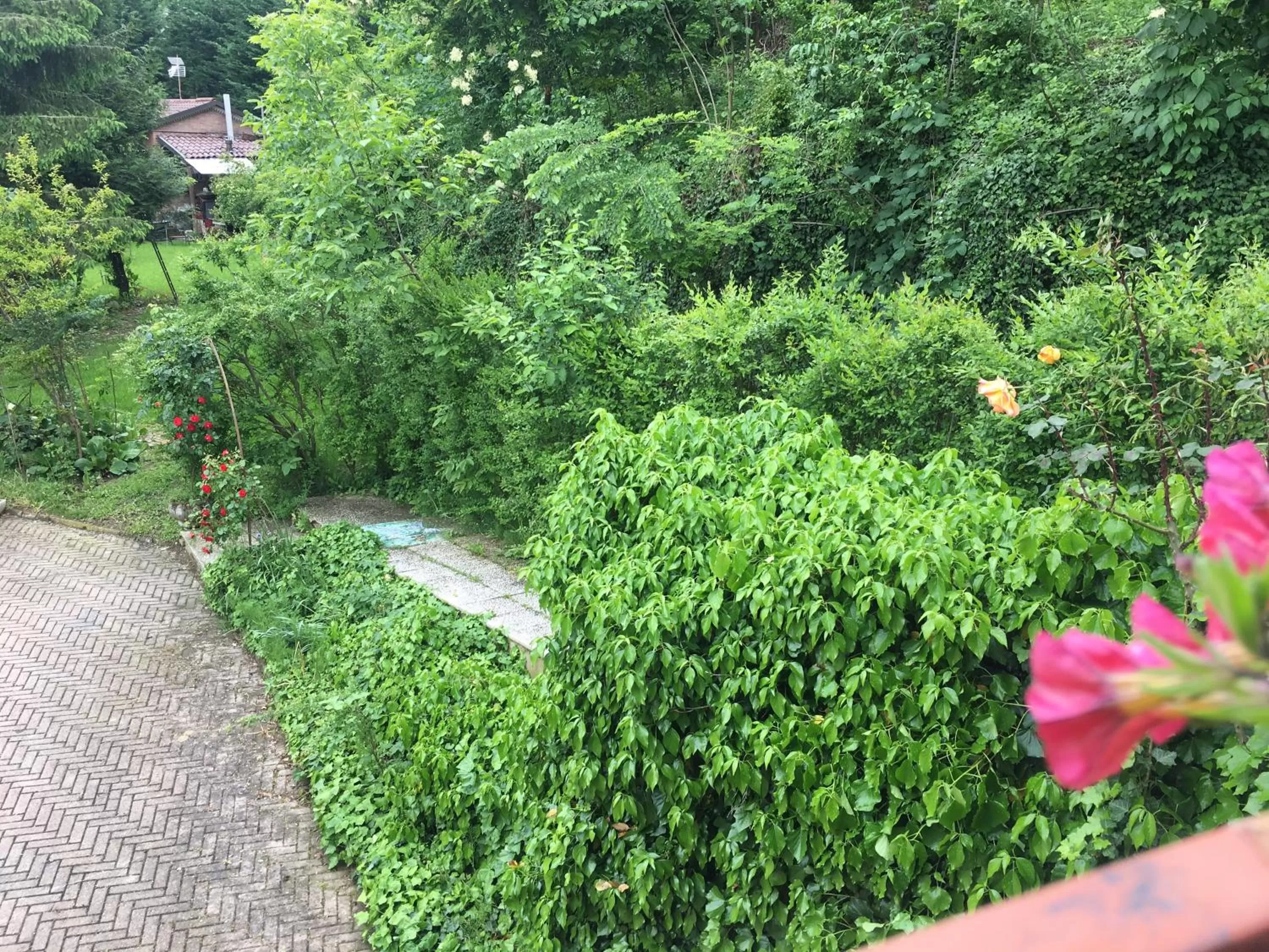 Rossella alla Villarella dei Tulipani