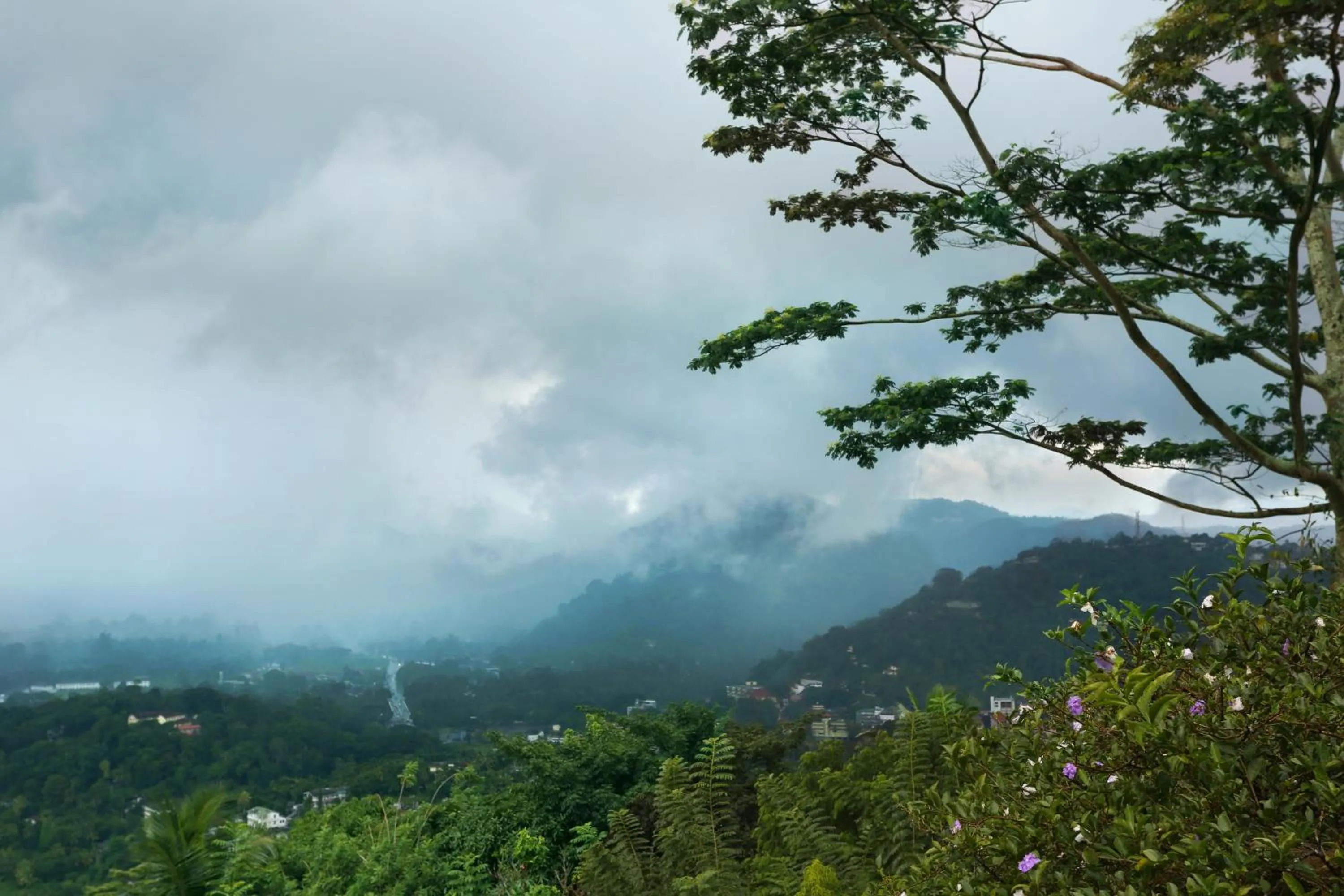 Neighbourhood in Randholee Resort & Spa