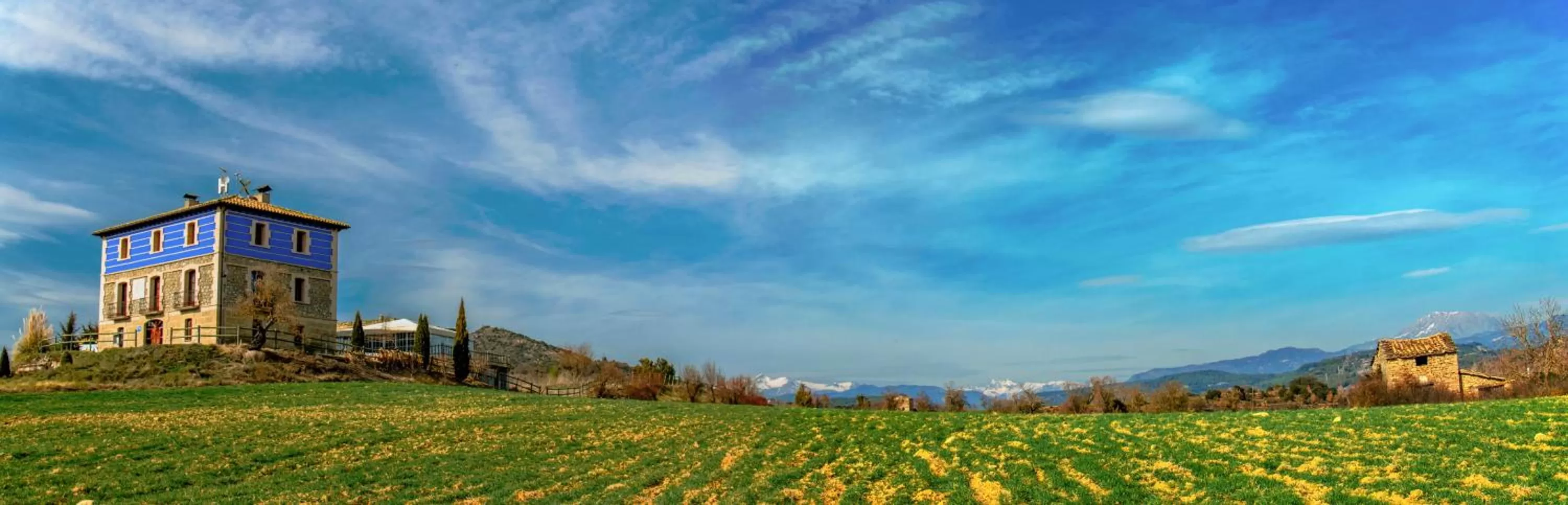Garden in Hotel Boutique Bodegas De Arnes - Adults Only