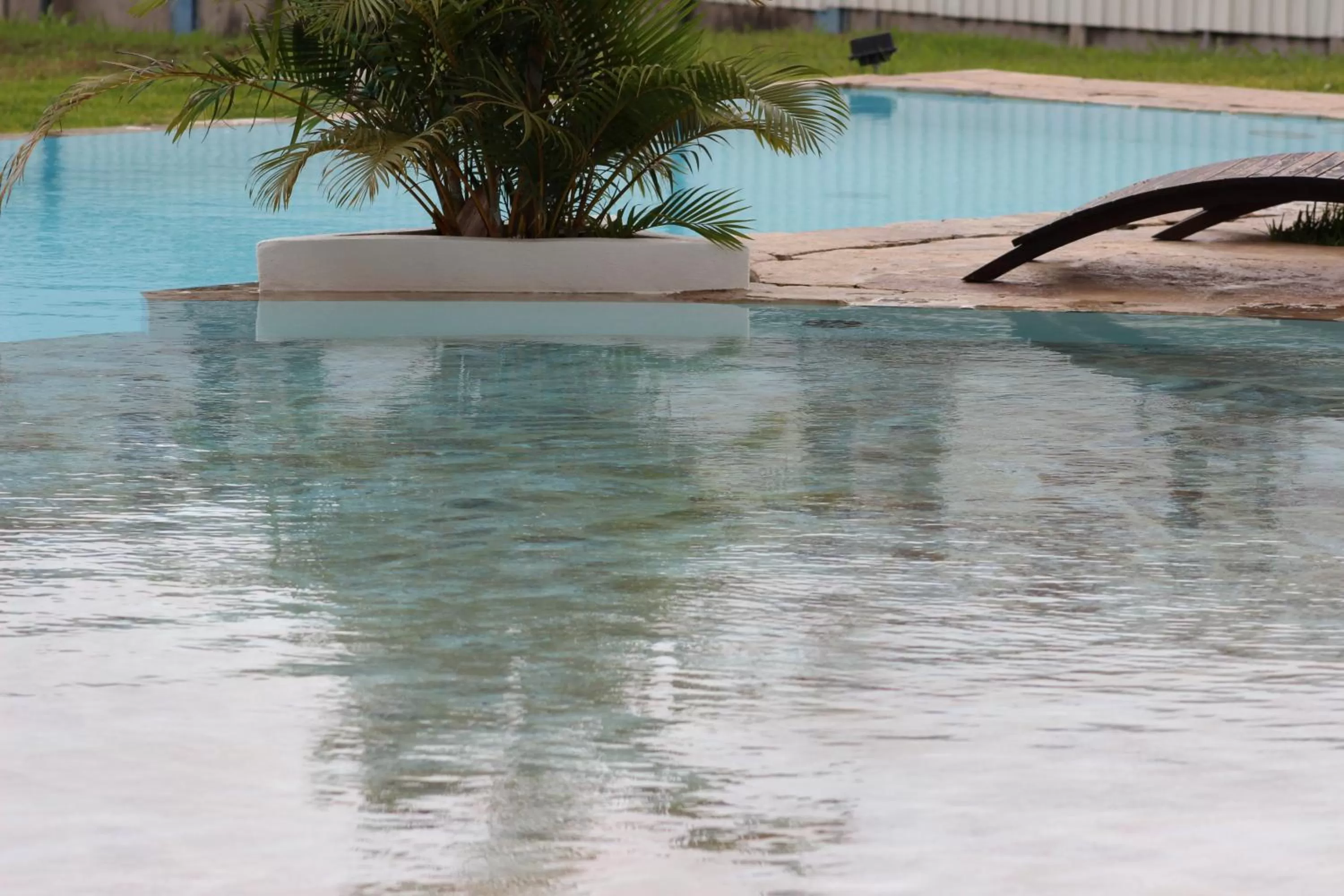 Garden in Hotel Luisiana