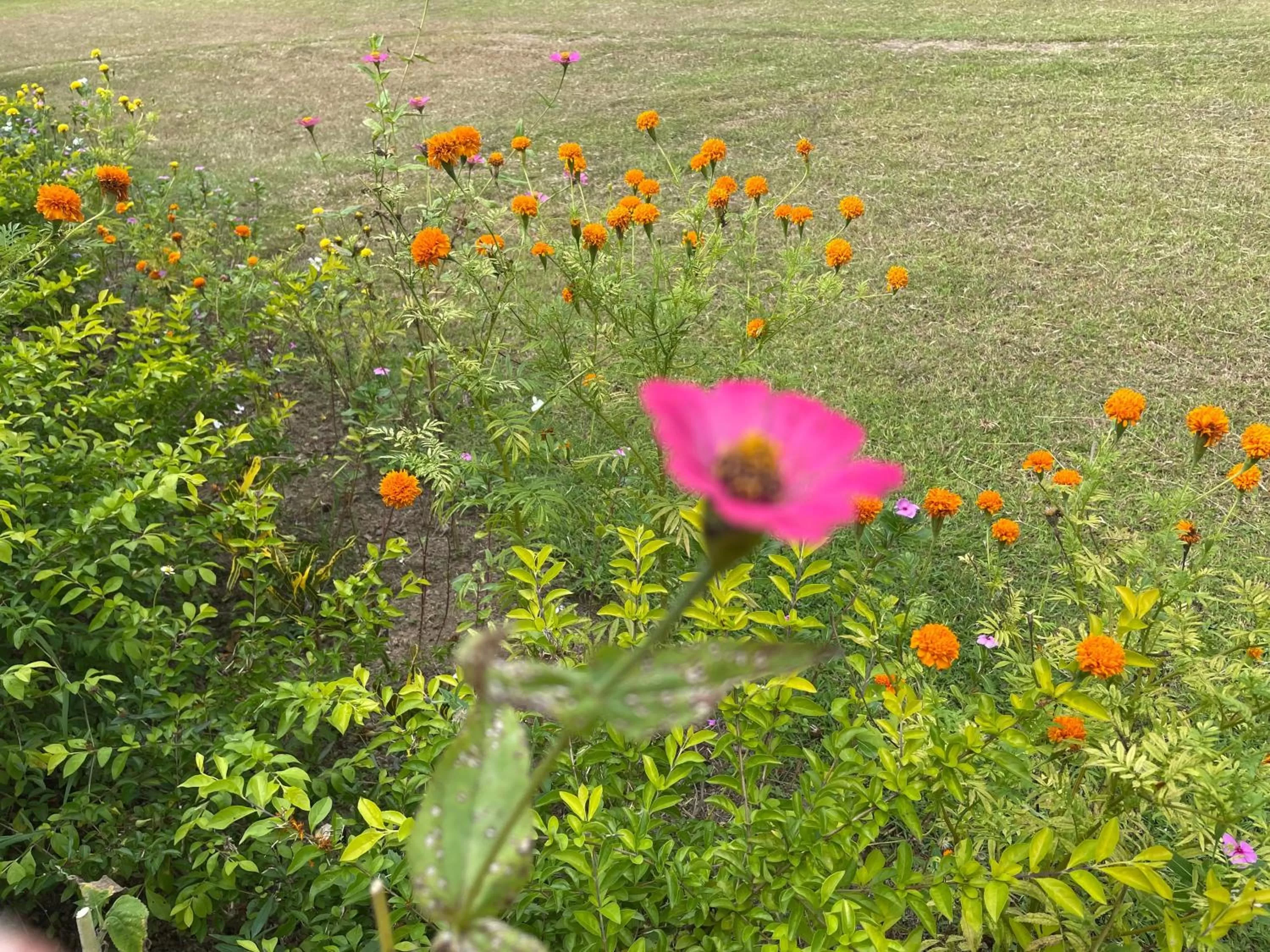 ห้วยน้ำรินรีสอร์ท The Creek Garden Resort