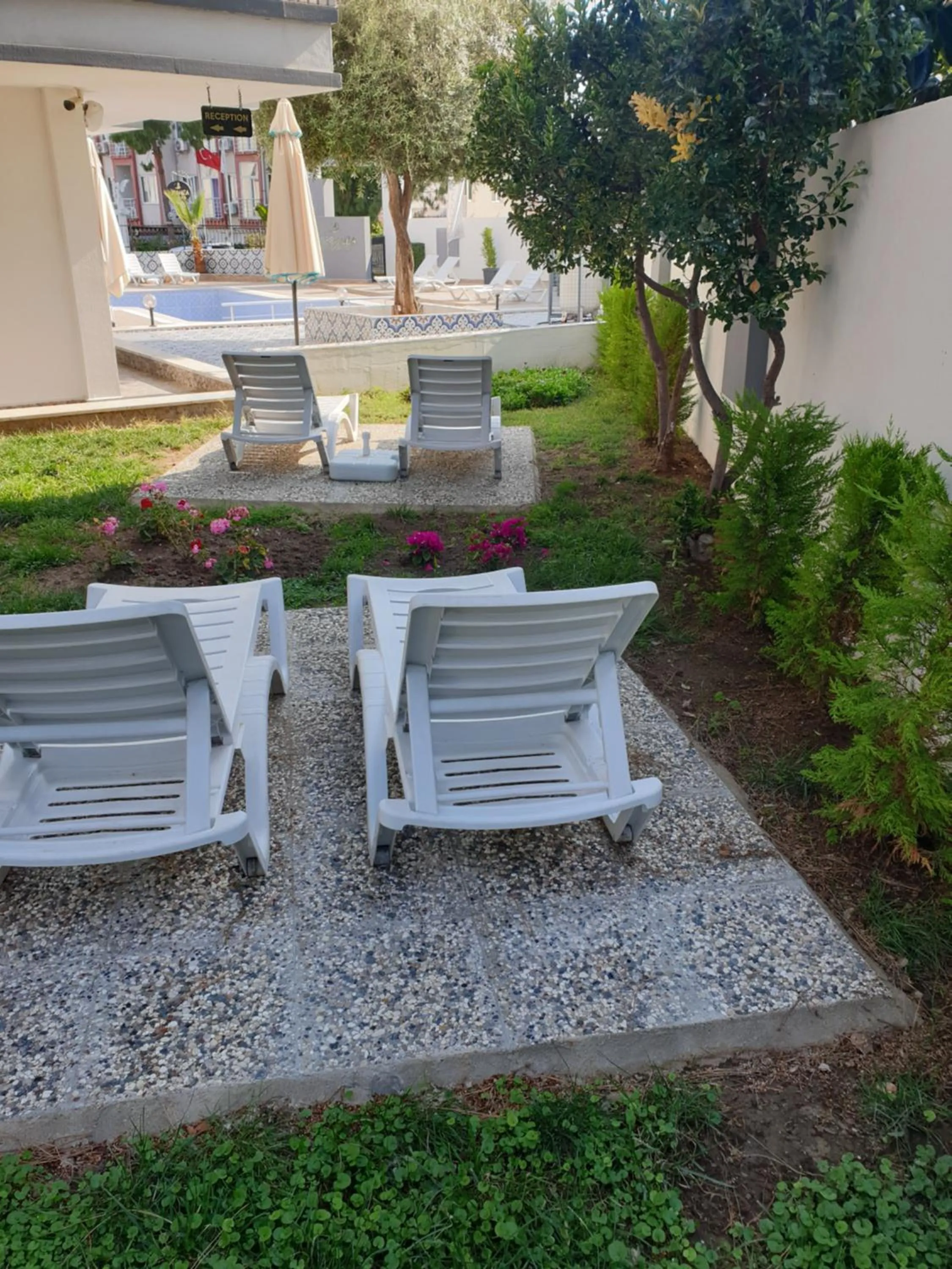 Garden in Esperanza Hotel