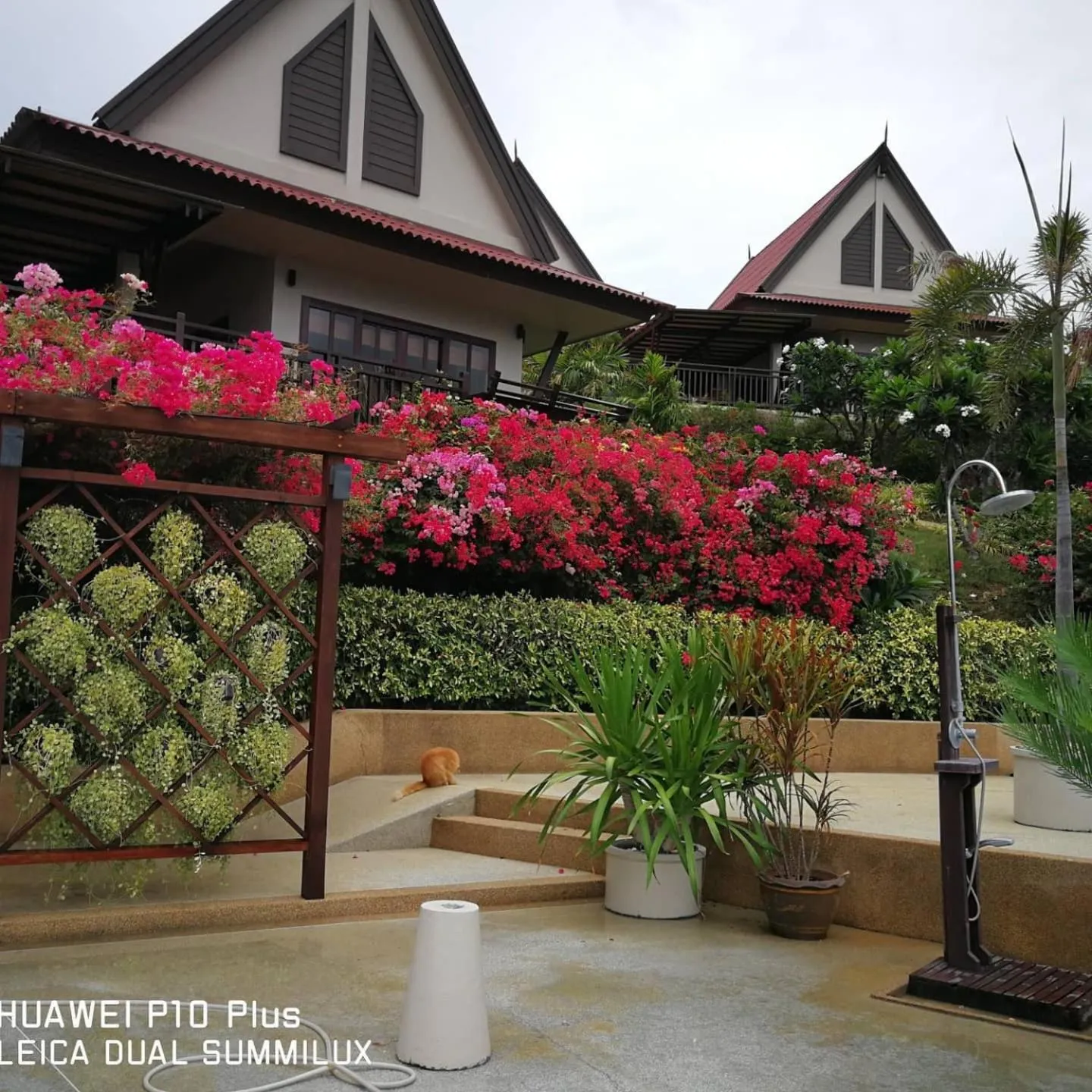 Garden in Baan KanTiang See Villas - SHA Extra Plus