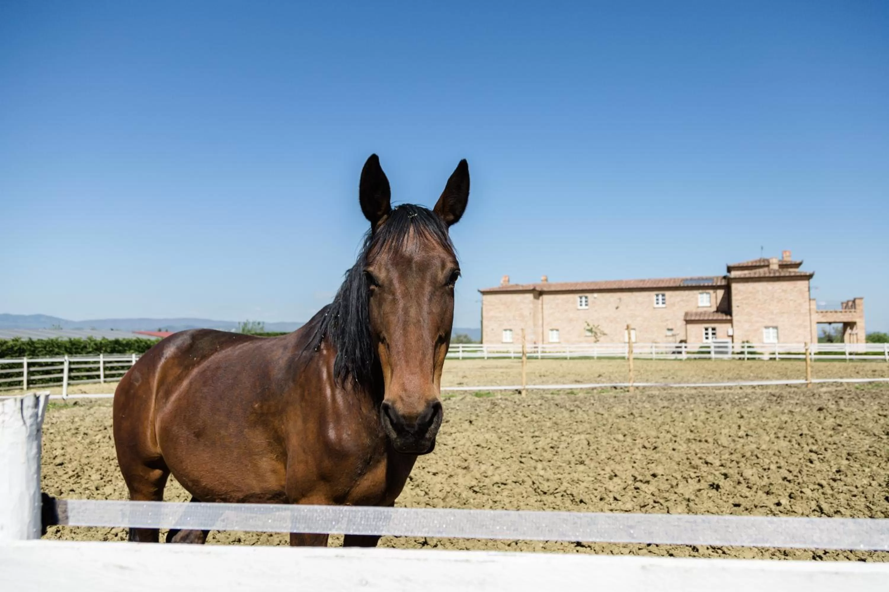 Natural landscape in Podere San Giuseppe