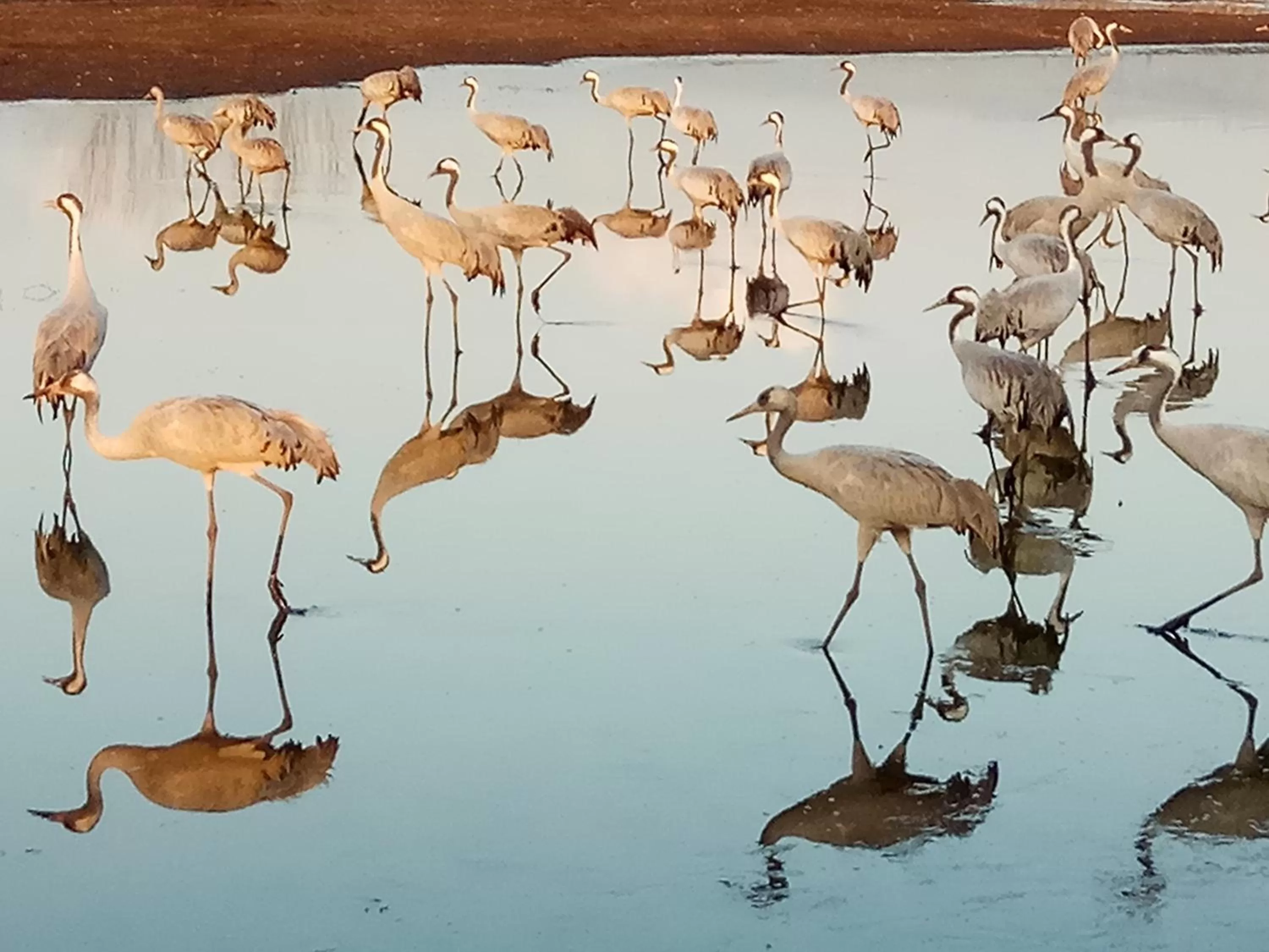 Nearby landmark in Beit Shalom Historical boutique Hotel