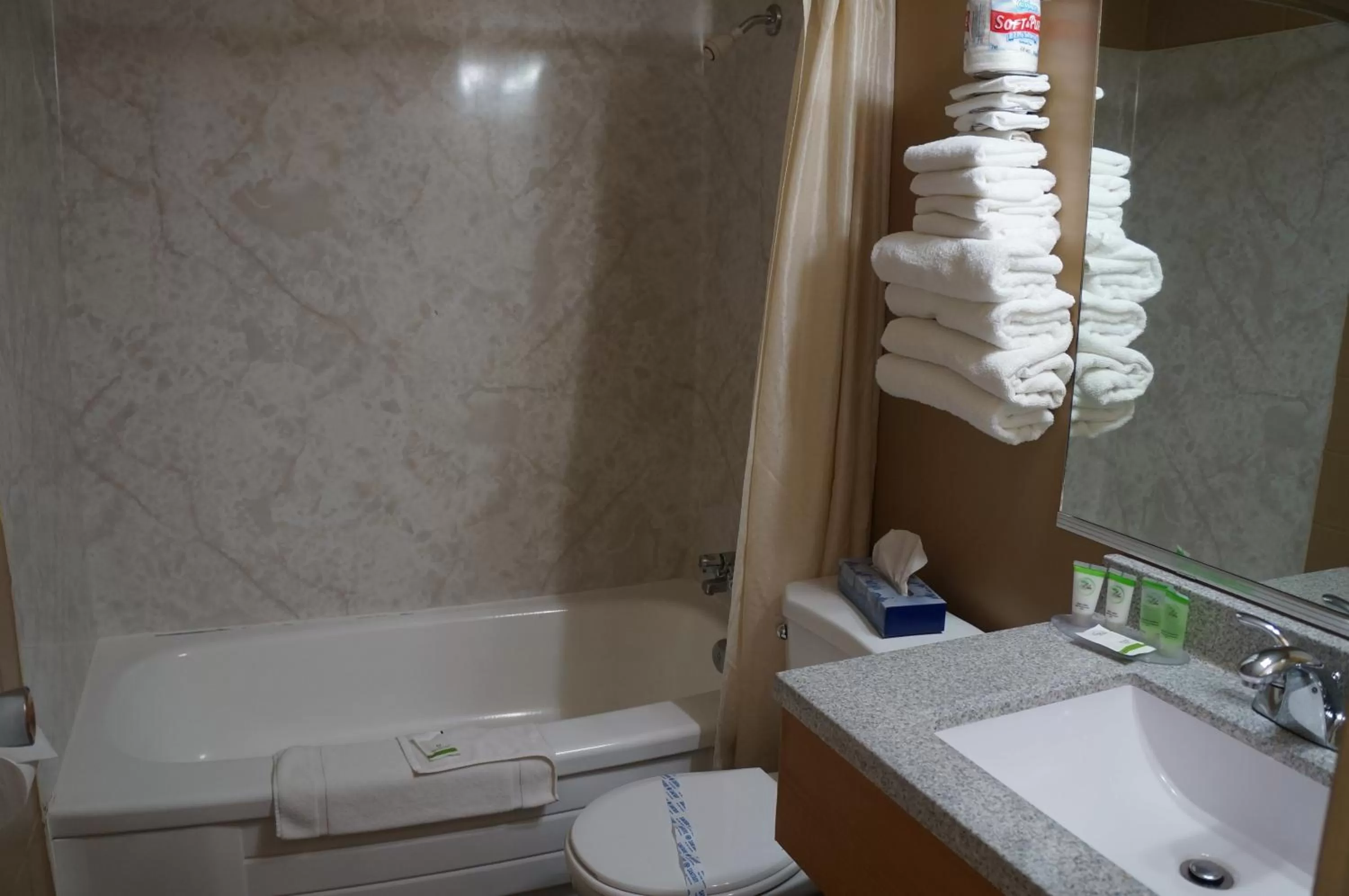 Bathroom in Westward Inn & Suites