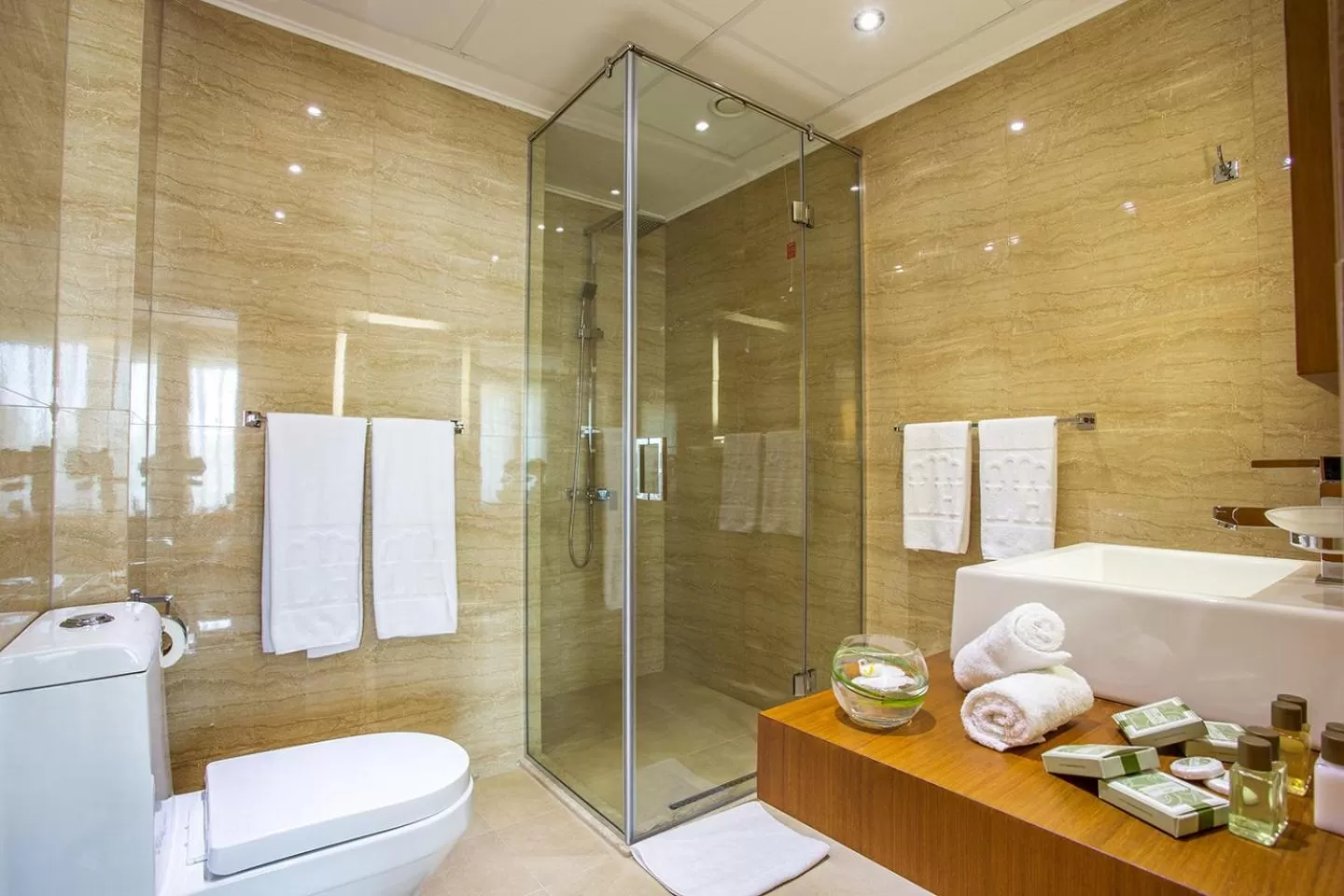 Shower in Landmark Creek Hotel Plovdiv