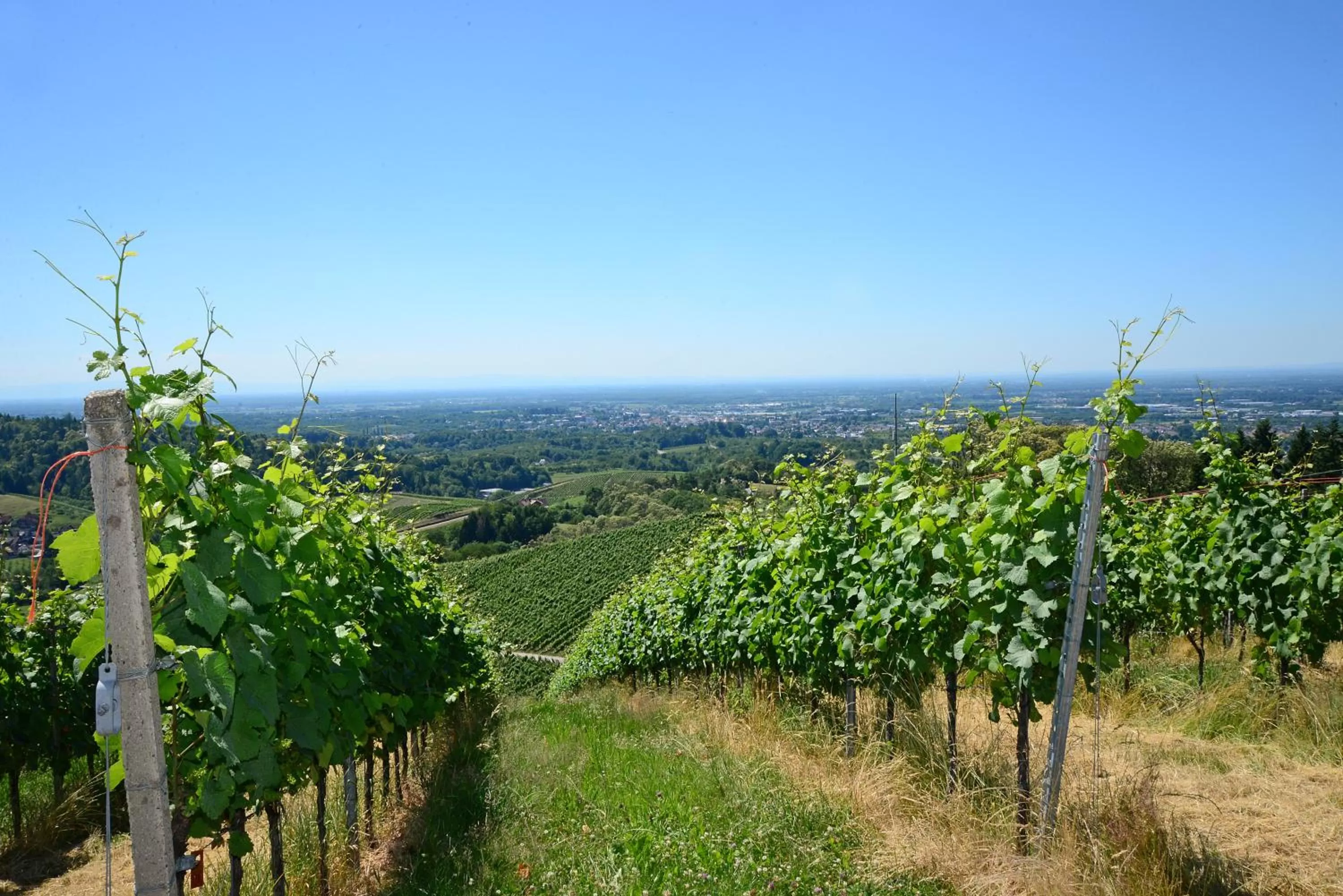 Natural landscape in Residence am Weinberg / Travellers Hotelbetriebs GmbH