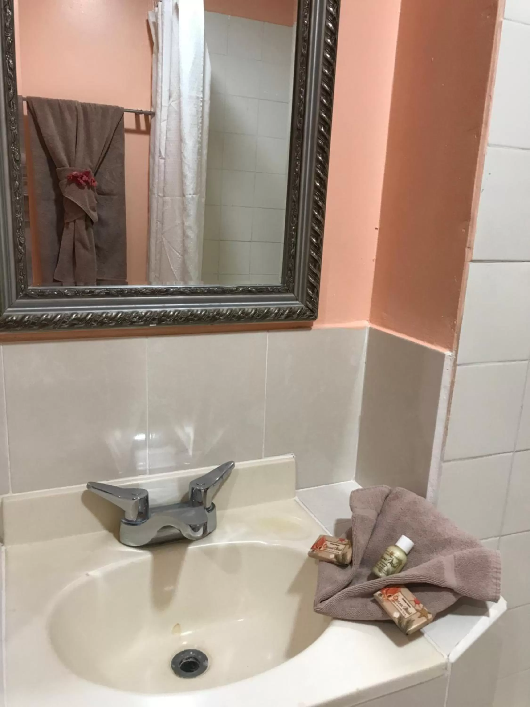 Bathroom in Tropical Paradise Express