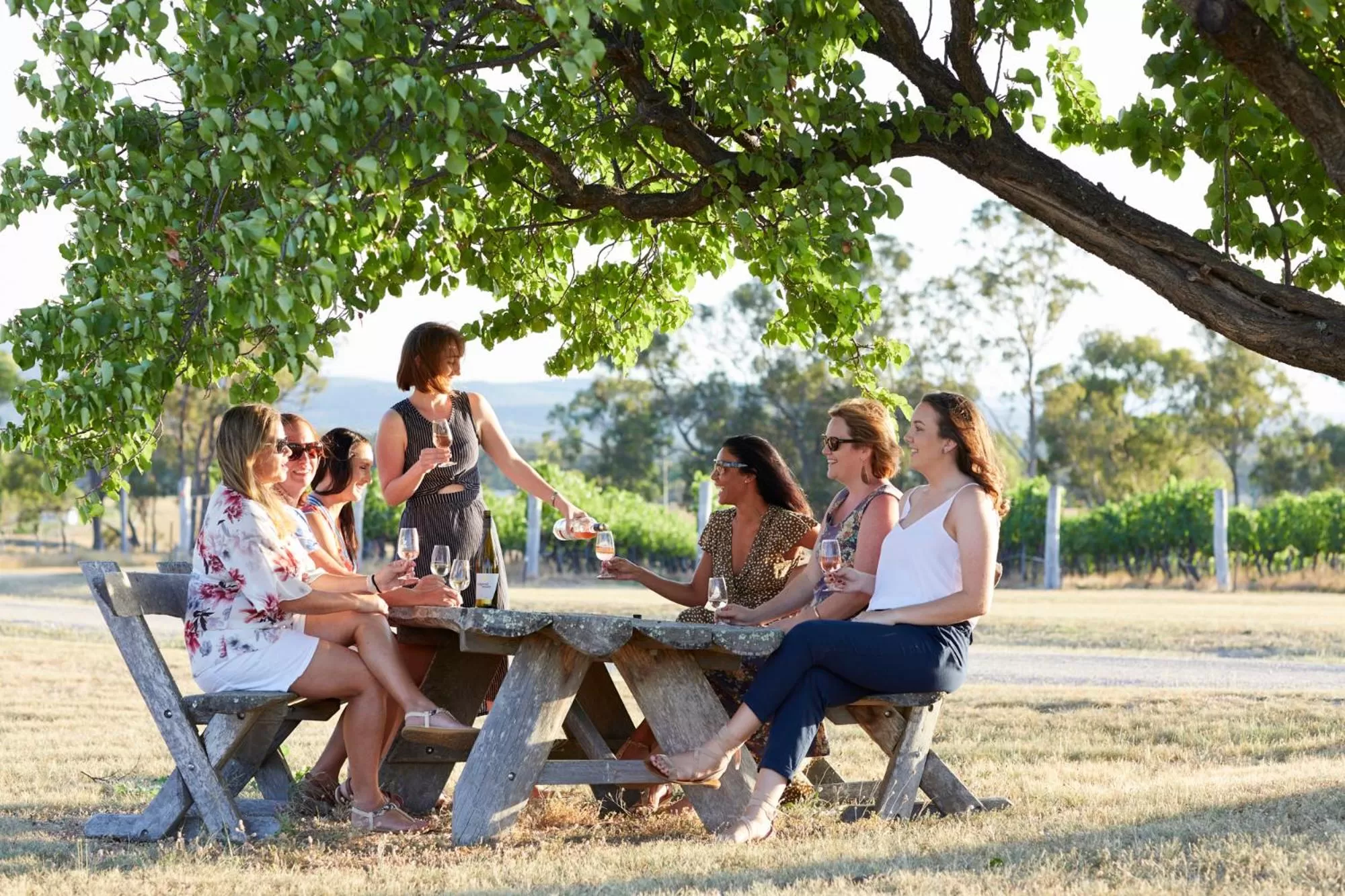 Summer in Ridgemill Estate