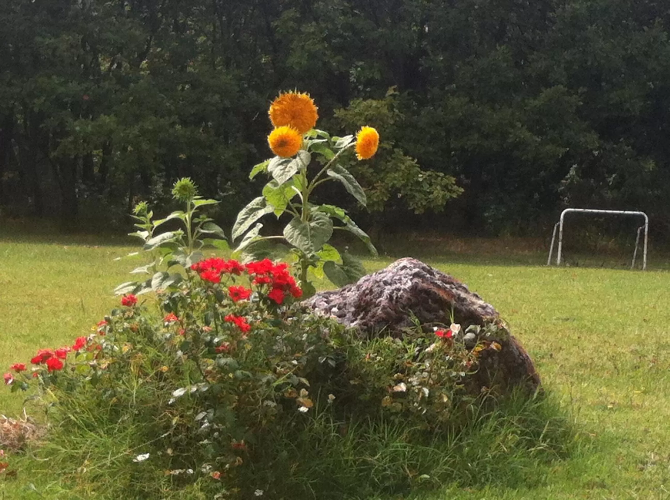 Garden in La Casa Dei Boschi