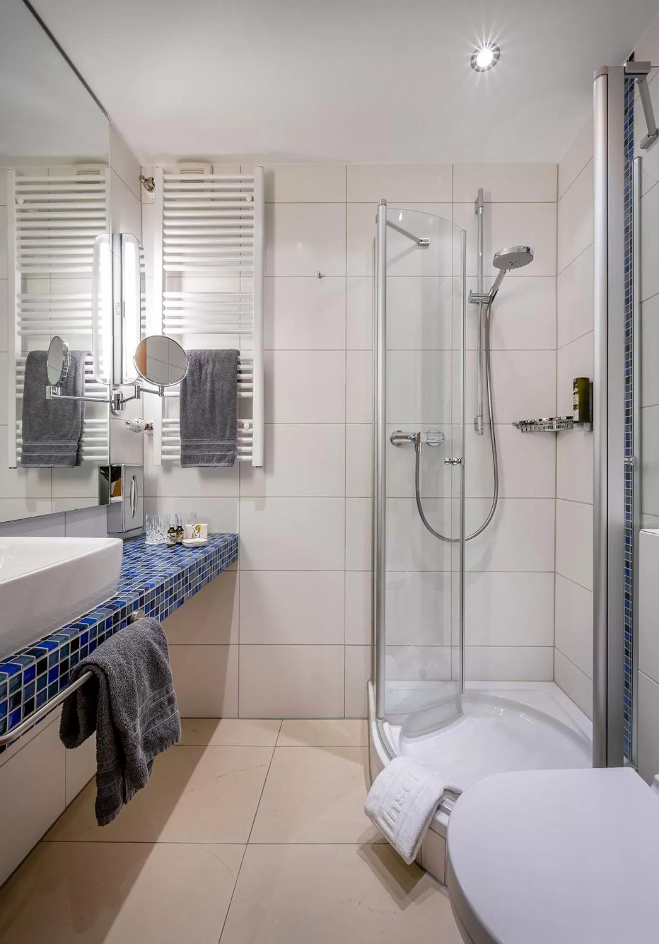 Shower in Insel Hotel Bonn - Superior