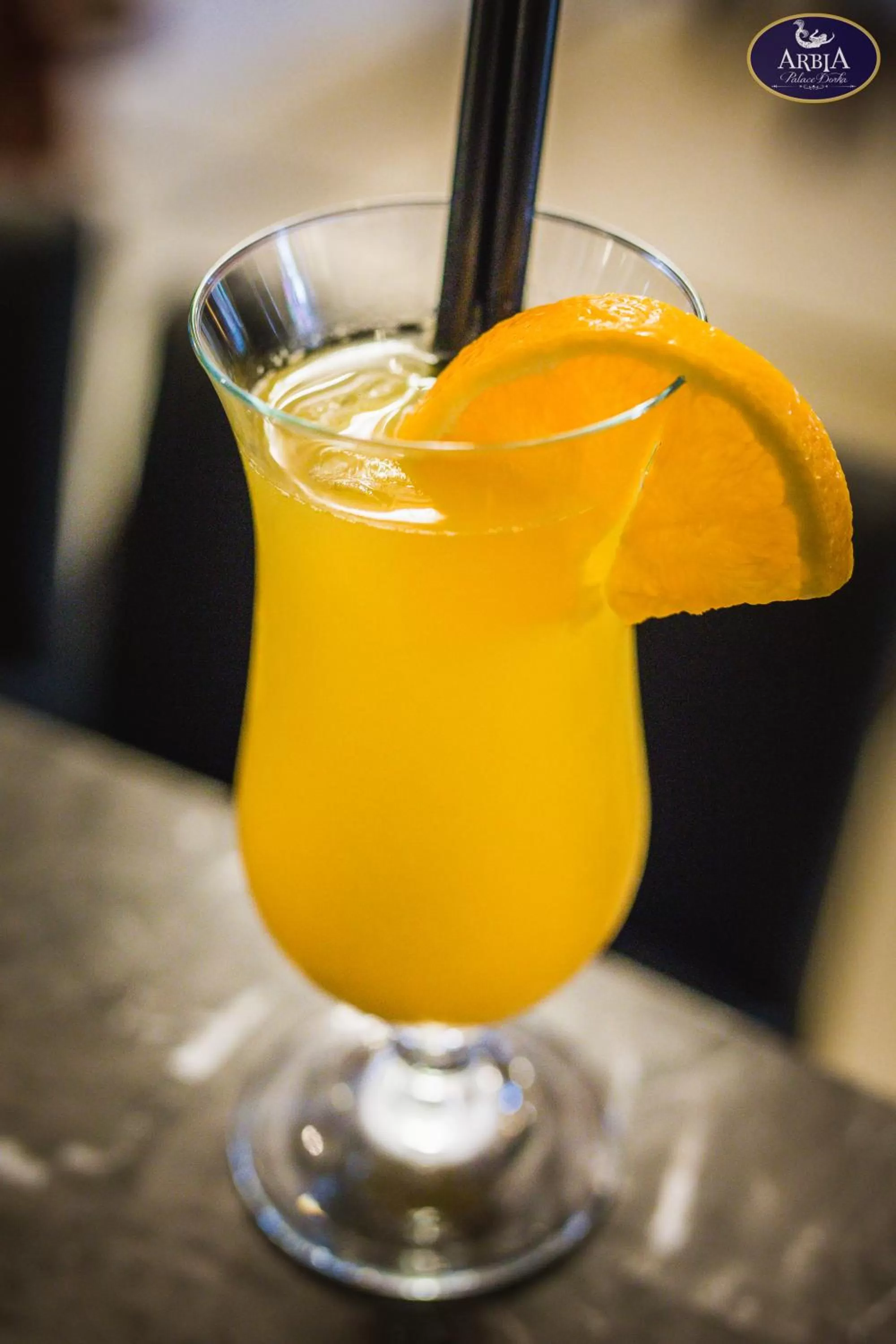 Arbia Dorka Heritage Palace