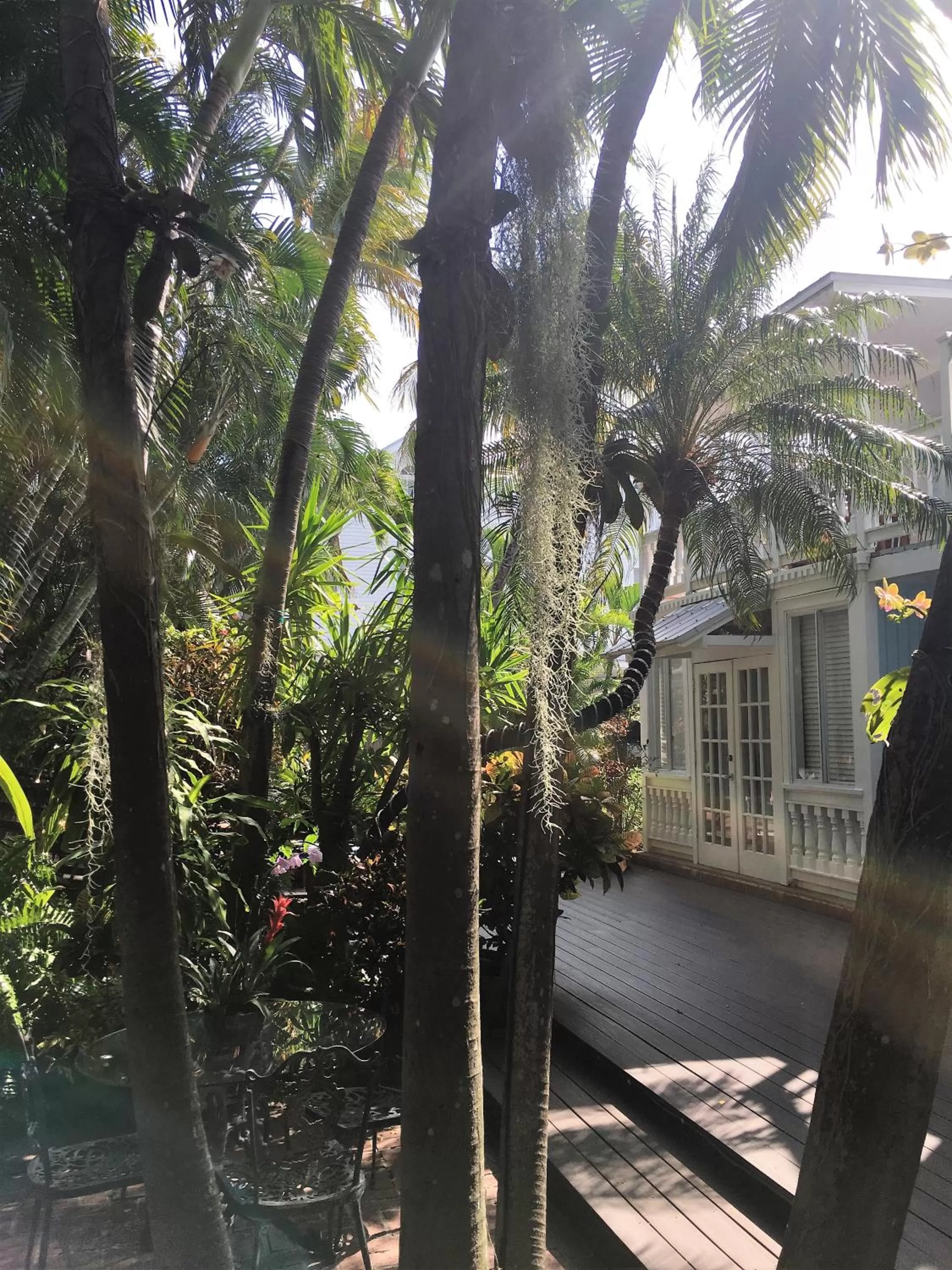 Garden in Douglas House