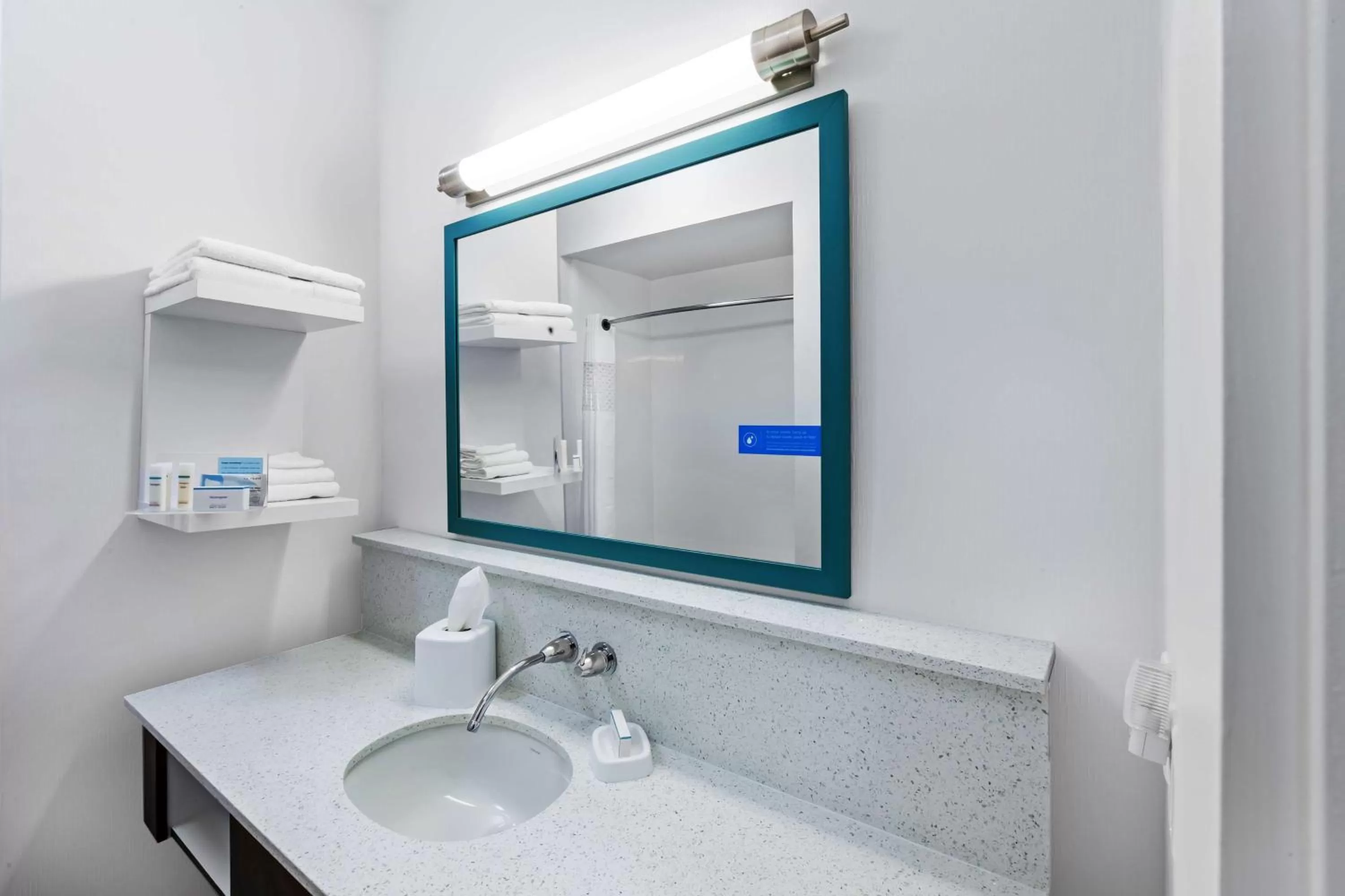 Bathroom in Hampton Inn Ozona