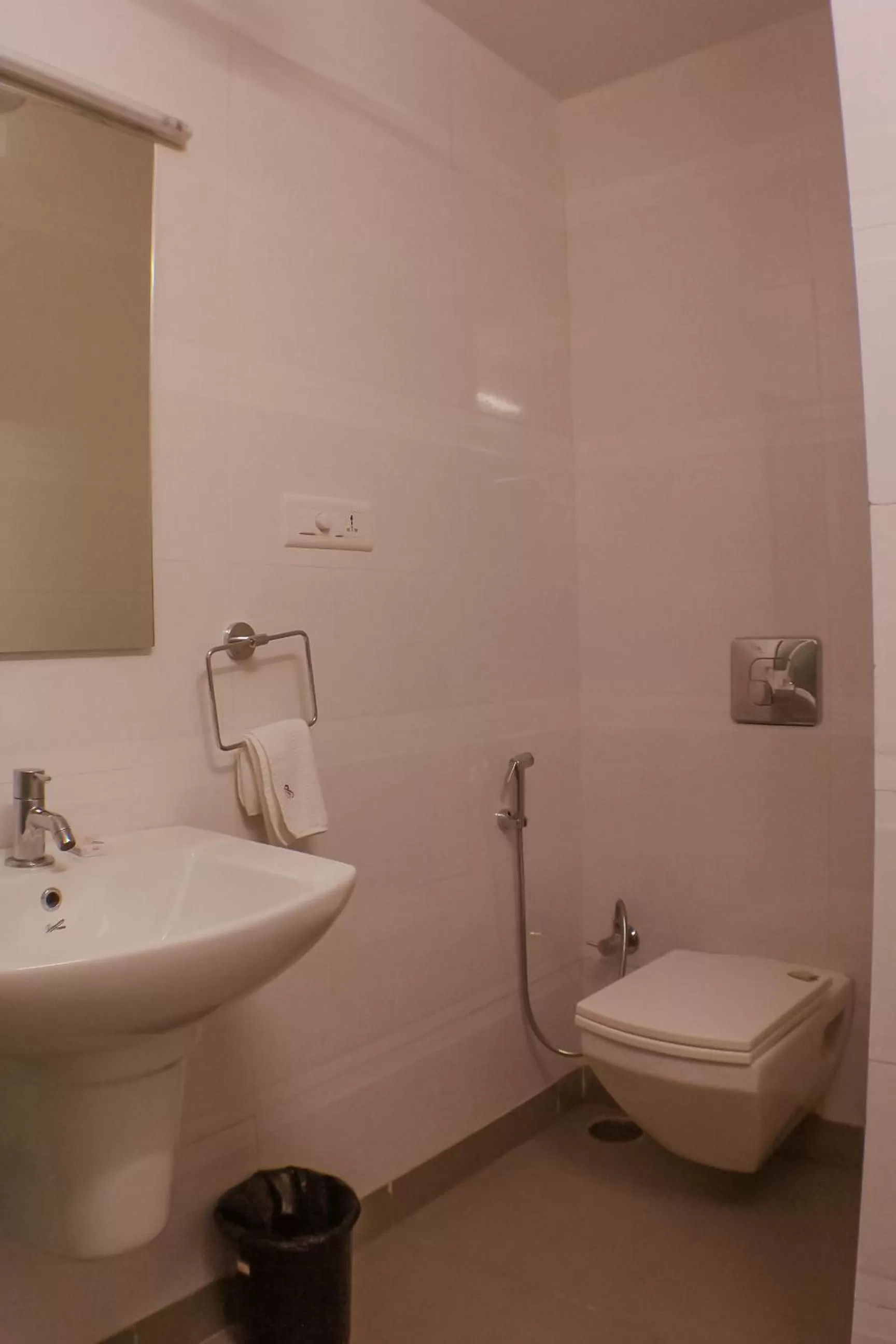 Toilet in The Pioneer