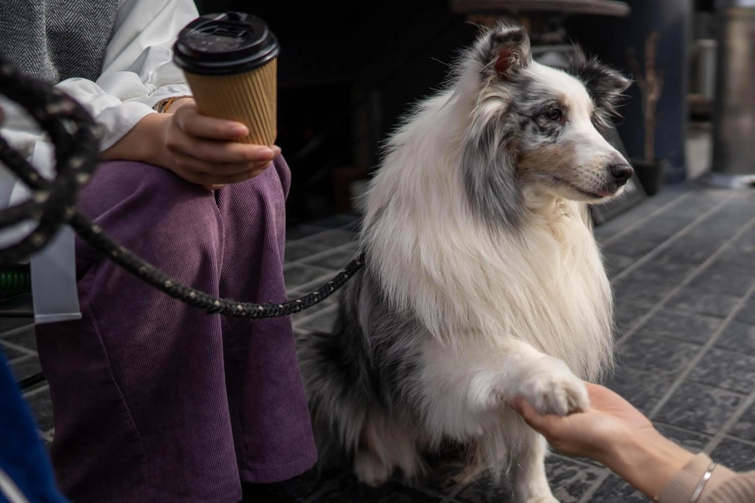 Hostel Cuore Kurashiki