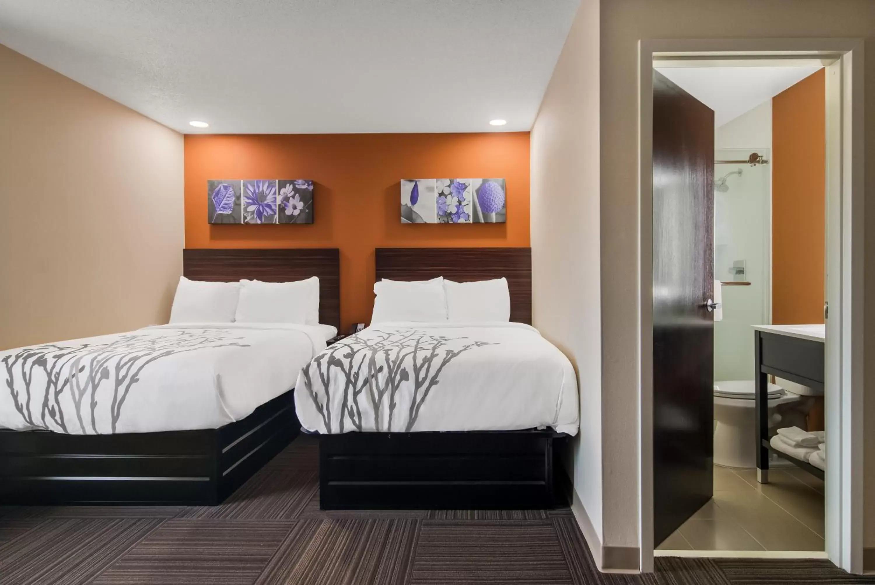 Double Room with Two Double Beds - Accessible/Non Smoking/Ground Floor in Sleep Inn Erie near Sports Center Double Room with Two Double Beds - Accessible/Non Smoking/Ground Floor in Sleep Inn Erie near Sports Center