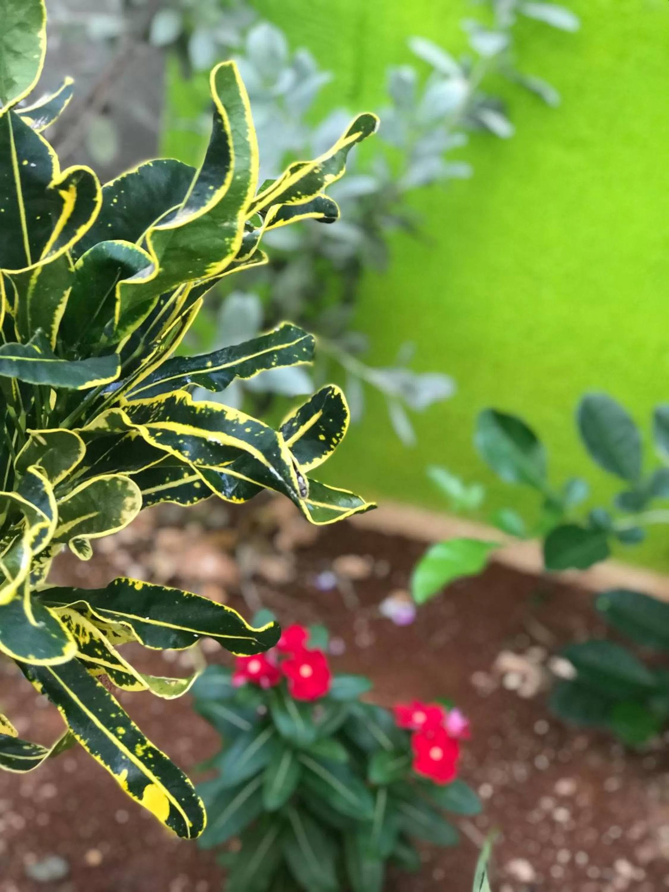 Jackuri Casa Hospedaje