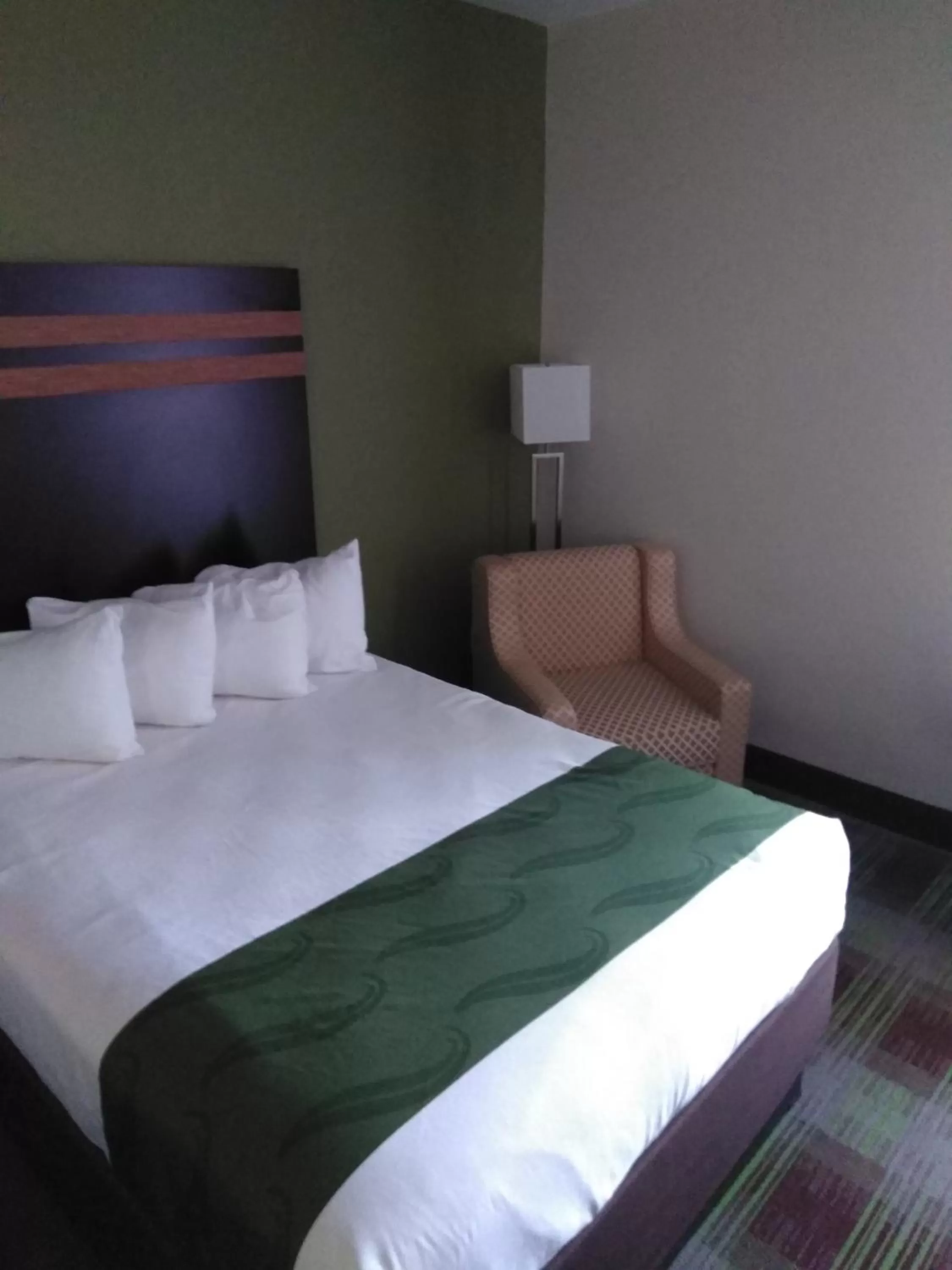 Bed in Quality Inn & Suites Mount Vernon