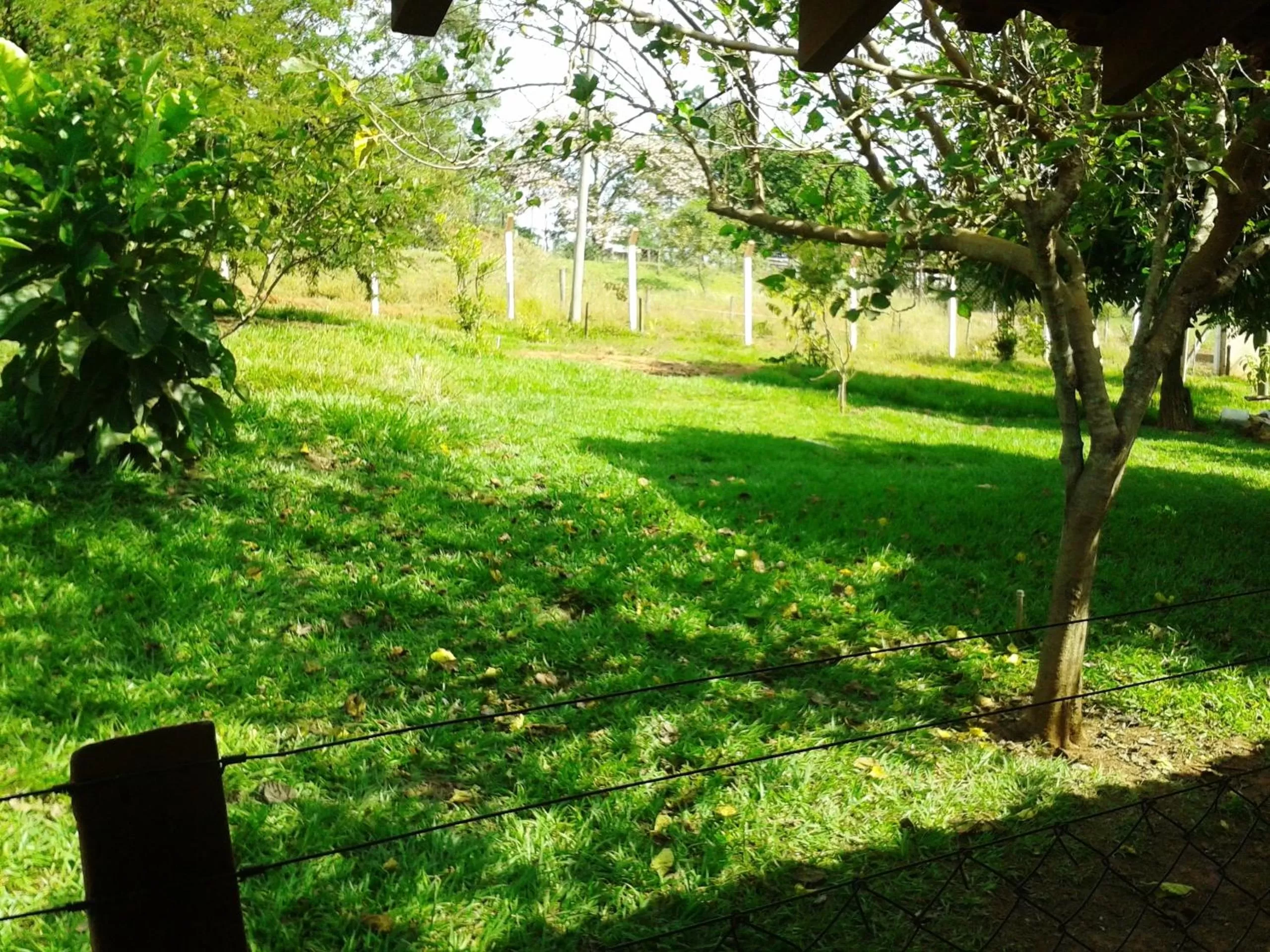 Garden view in Pousada Sorocabana