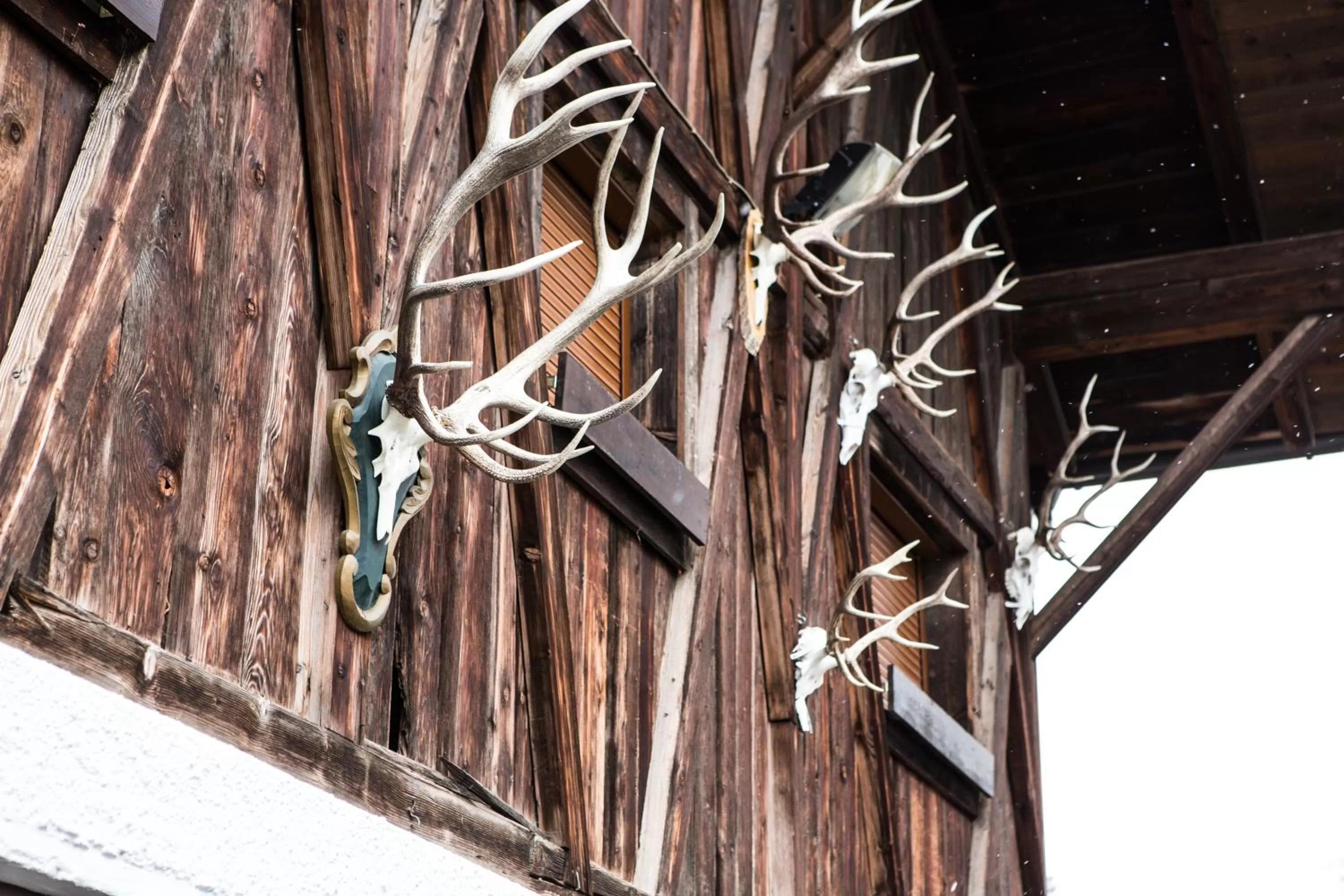Decorative detail in Der WALZL