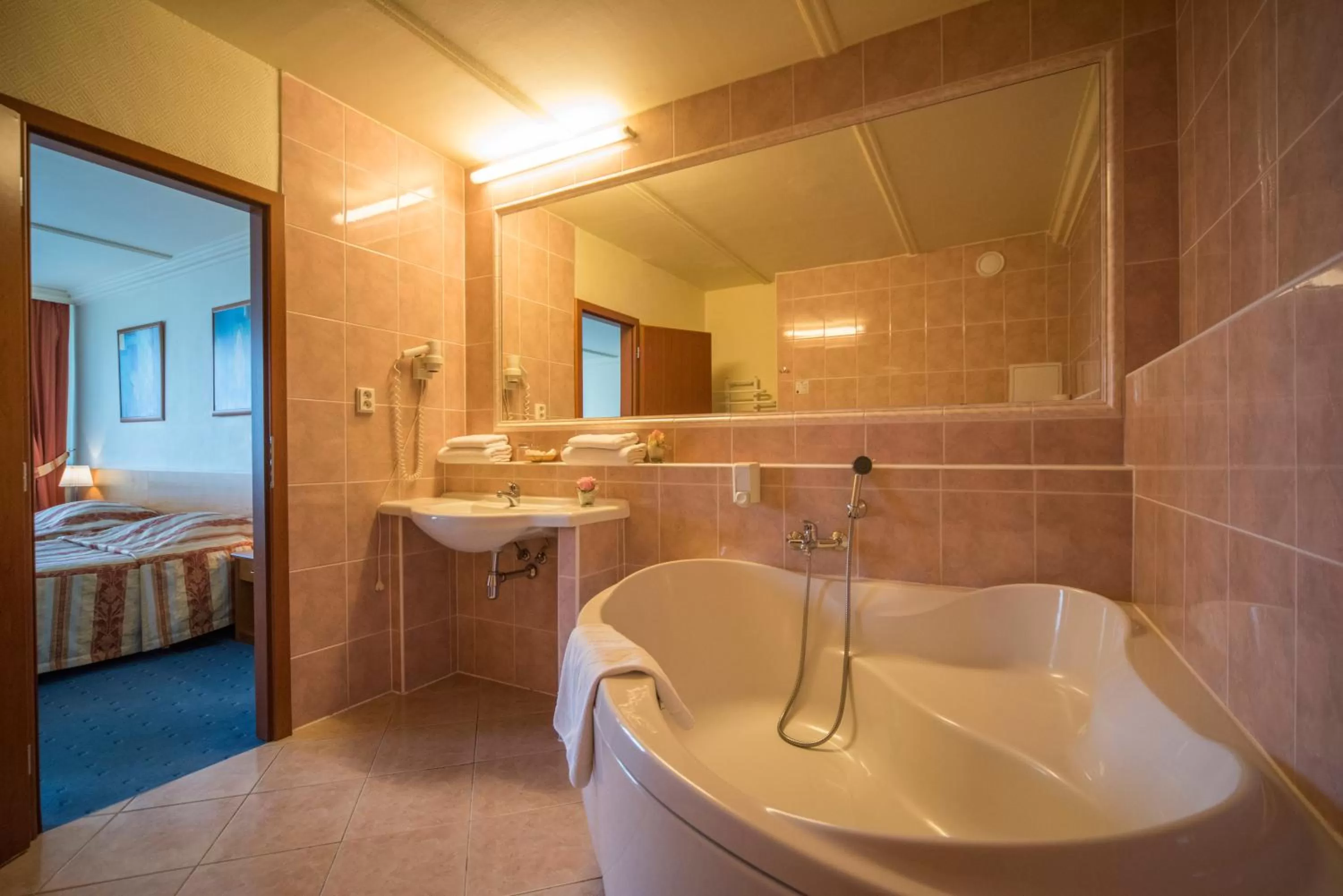 Bathroom in TOP HOTEL Praha