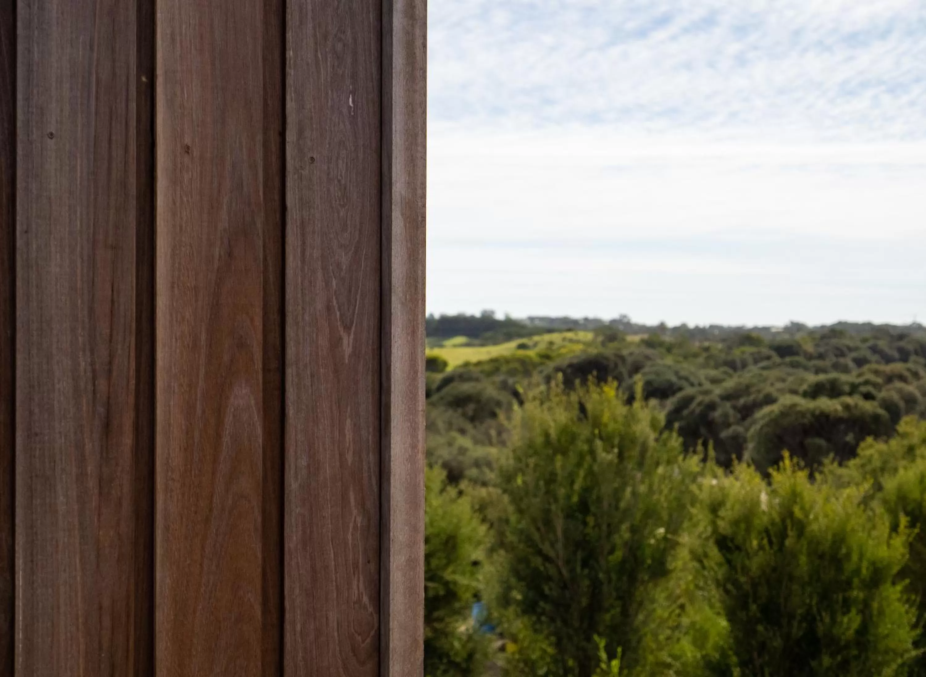 Natural landscape in Links Lodge at The Dunes