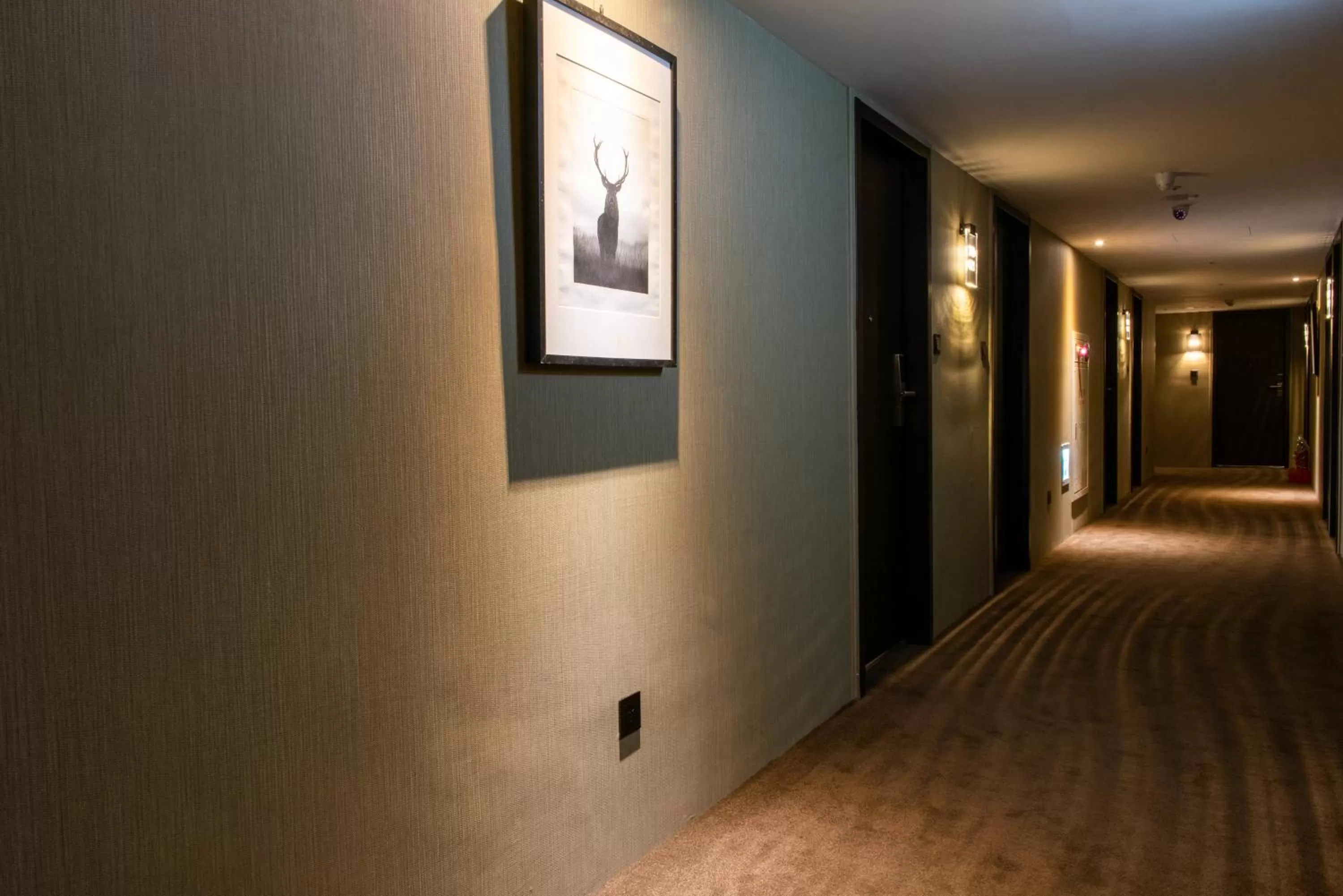 Property building in N Hotel