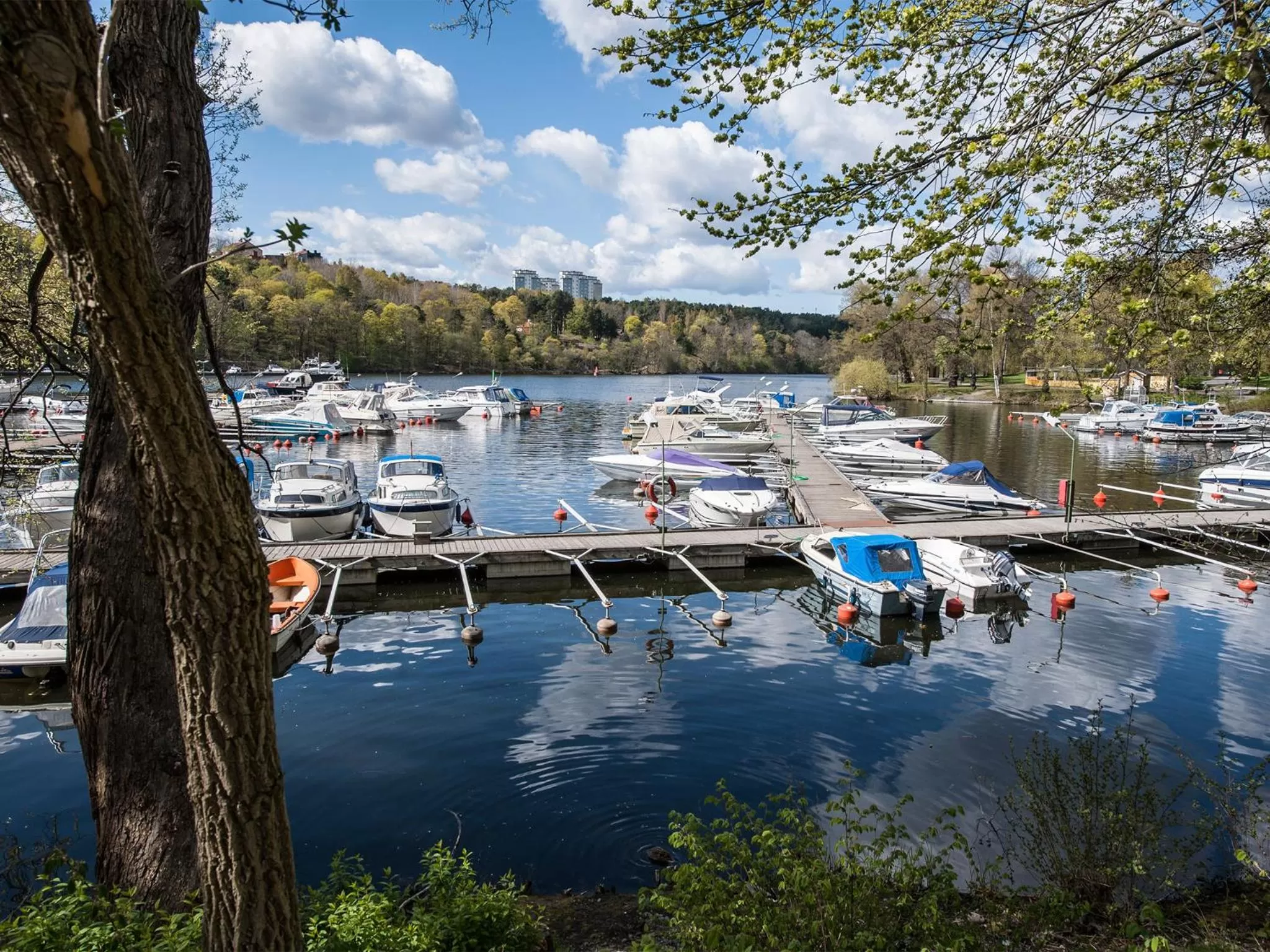 Activities in Motel L Hammarby Sjöstad