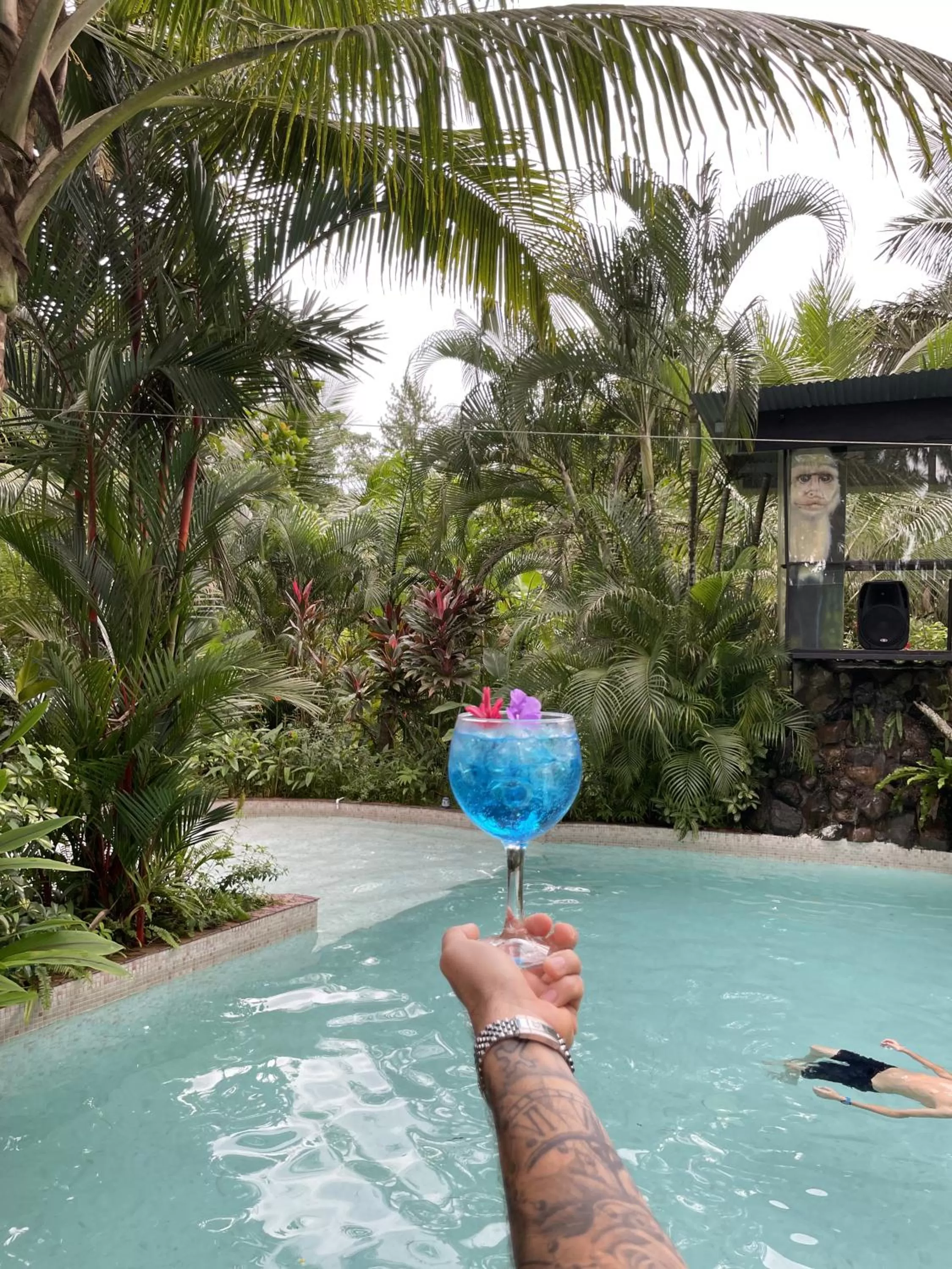 Day, Swimming Pool in Monkey Lodge Panama