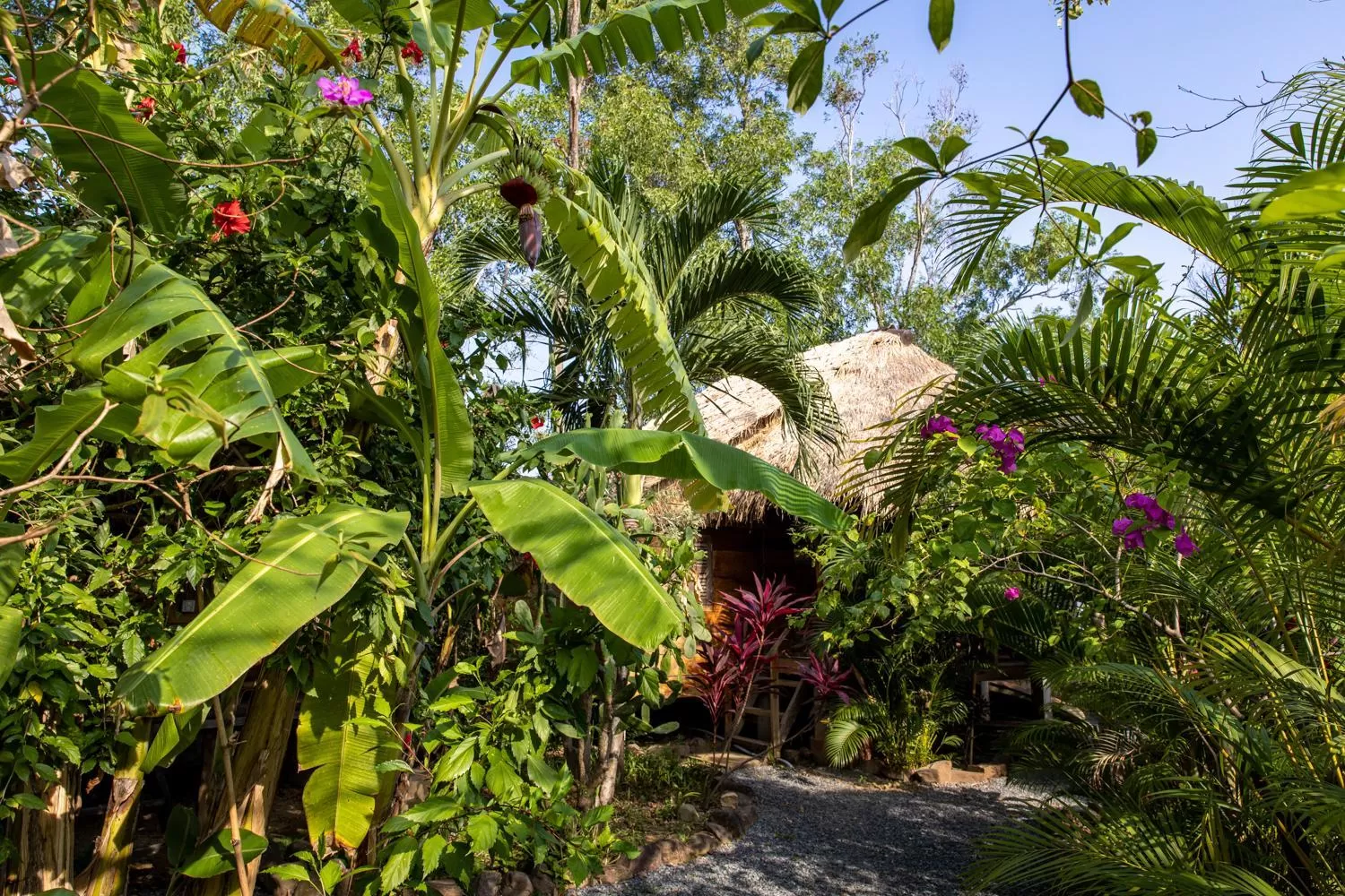 Garden in Kampot Cabana