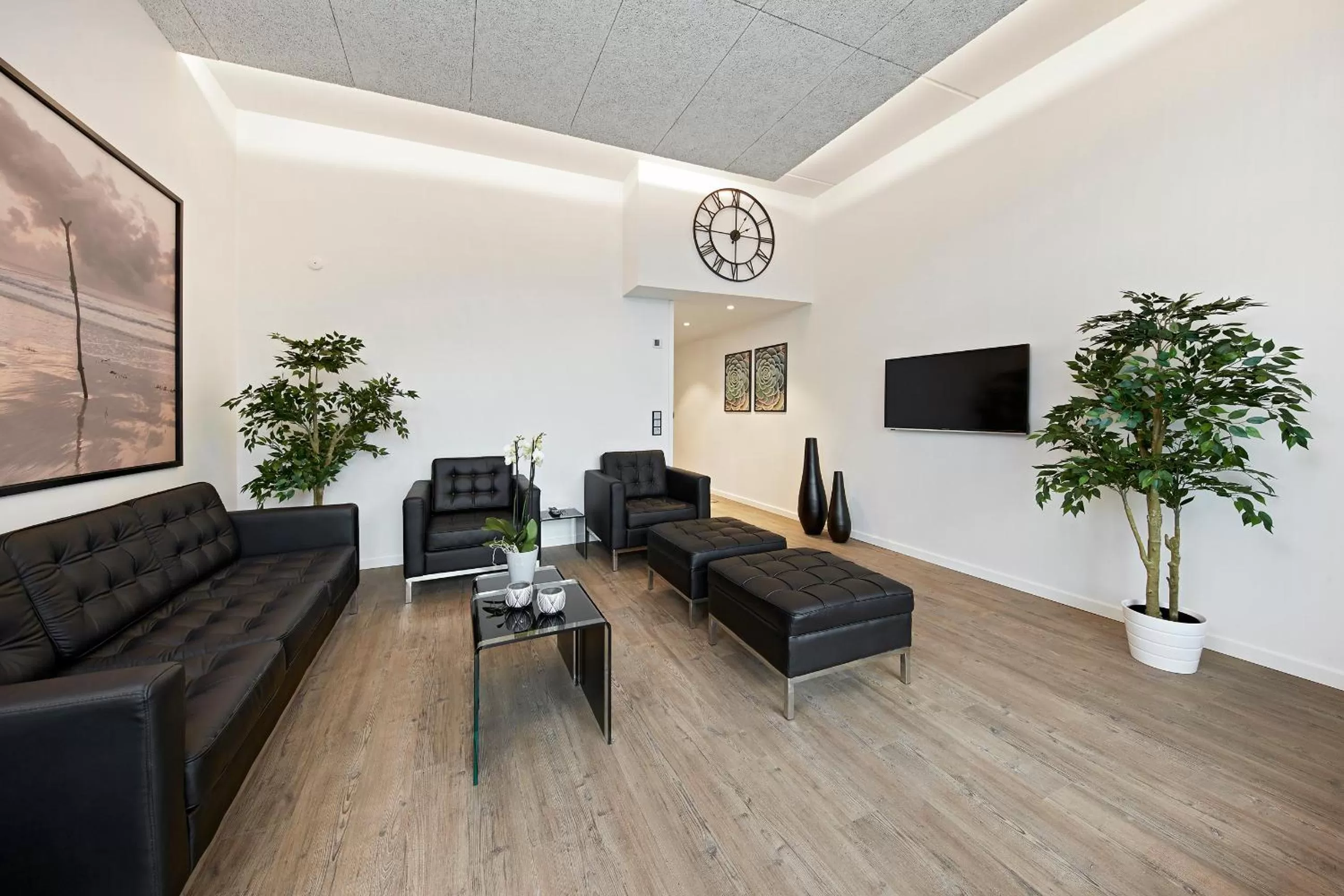 TV and multimedia in Living Suites