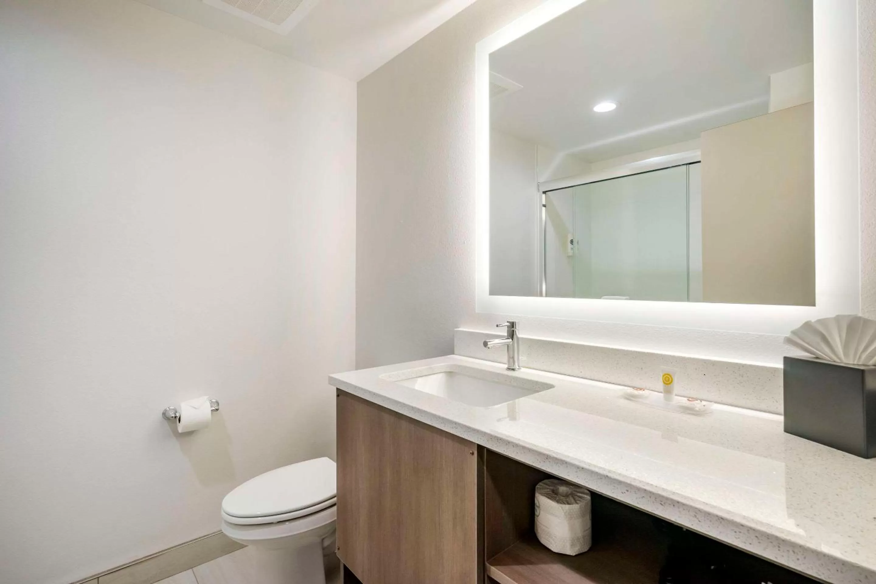 Bathroom in Comfort Inn & Suites New Port Richey Downtown District