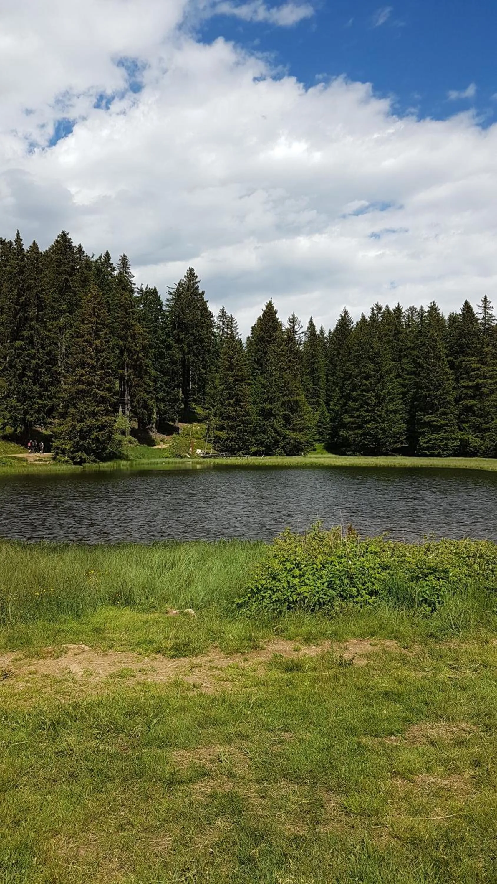 Hiking in Bed&Breakfast Pension Hilpold