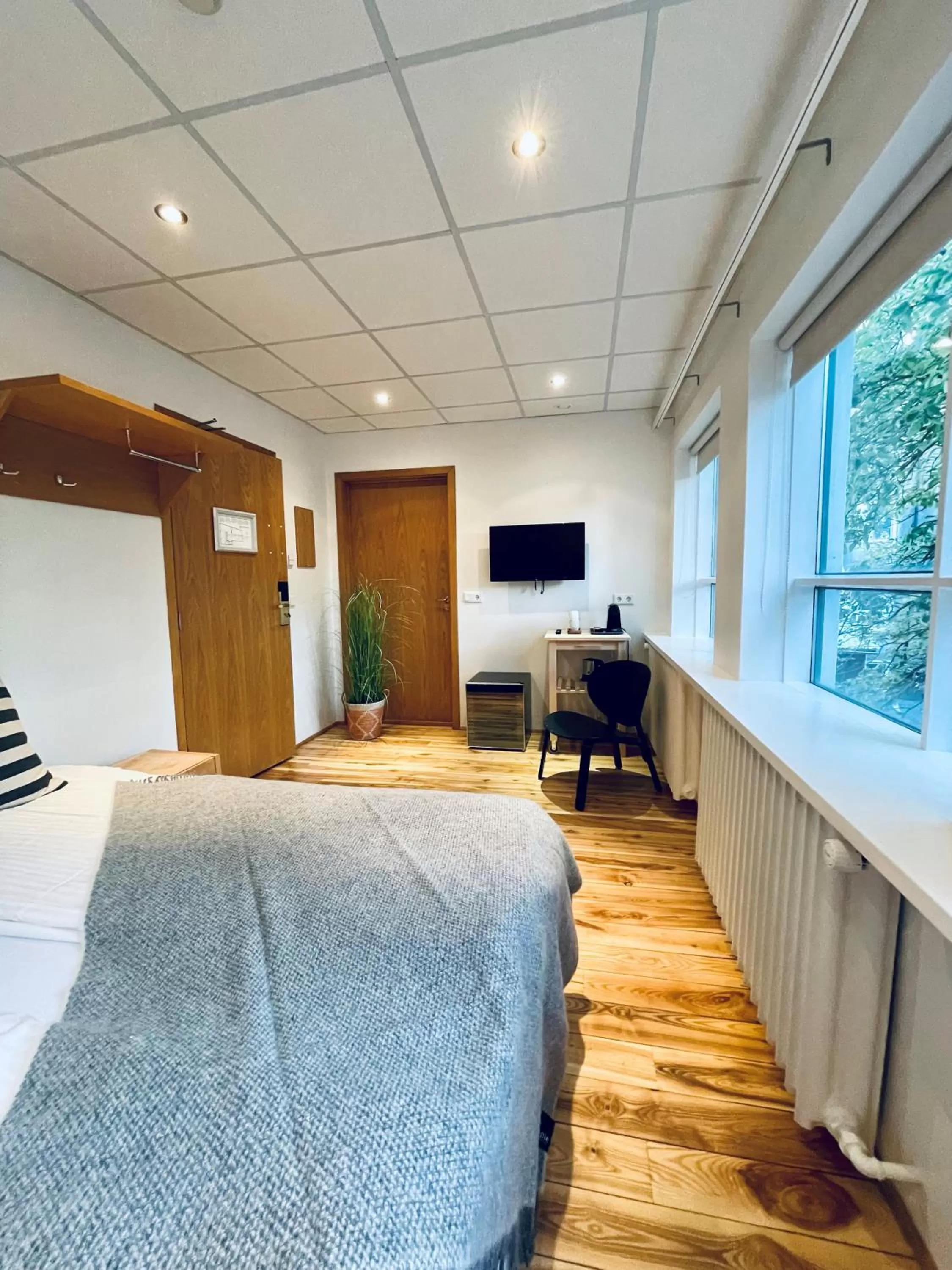 Photo of the whole room in Day Dream Vesturgata 17 Reykjavik