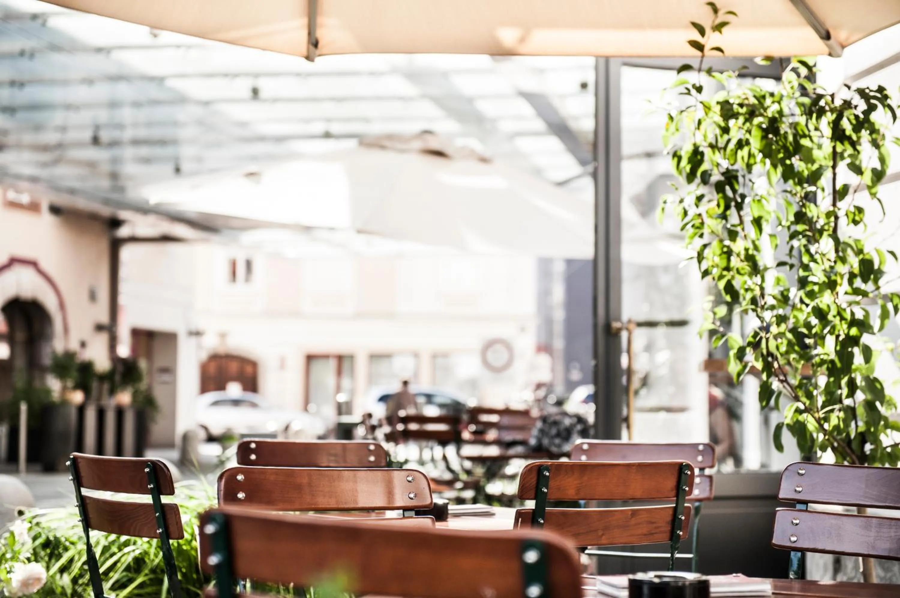 Garden in Hotel Weitzer Graz - Centre of Graz