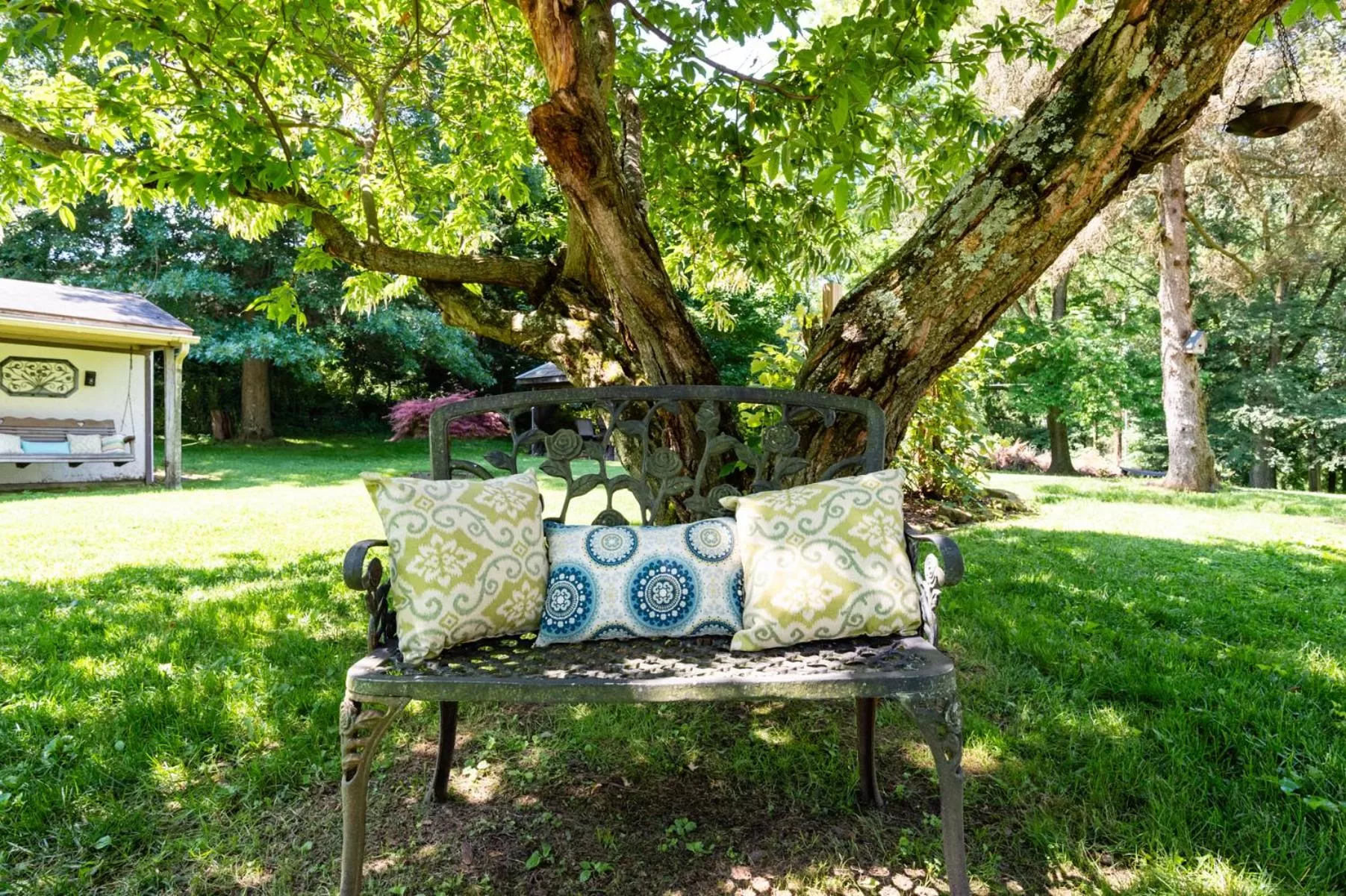 The Pines of Dresden